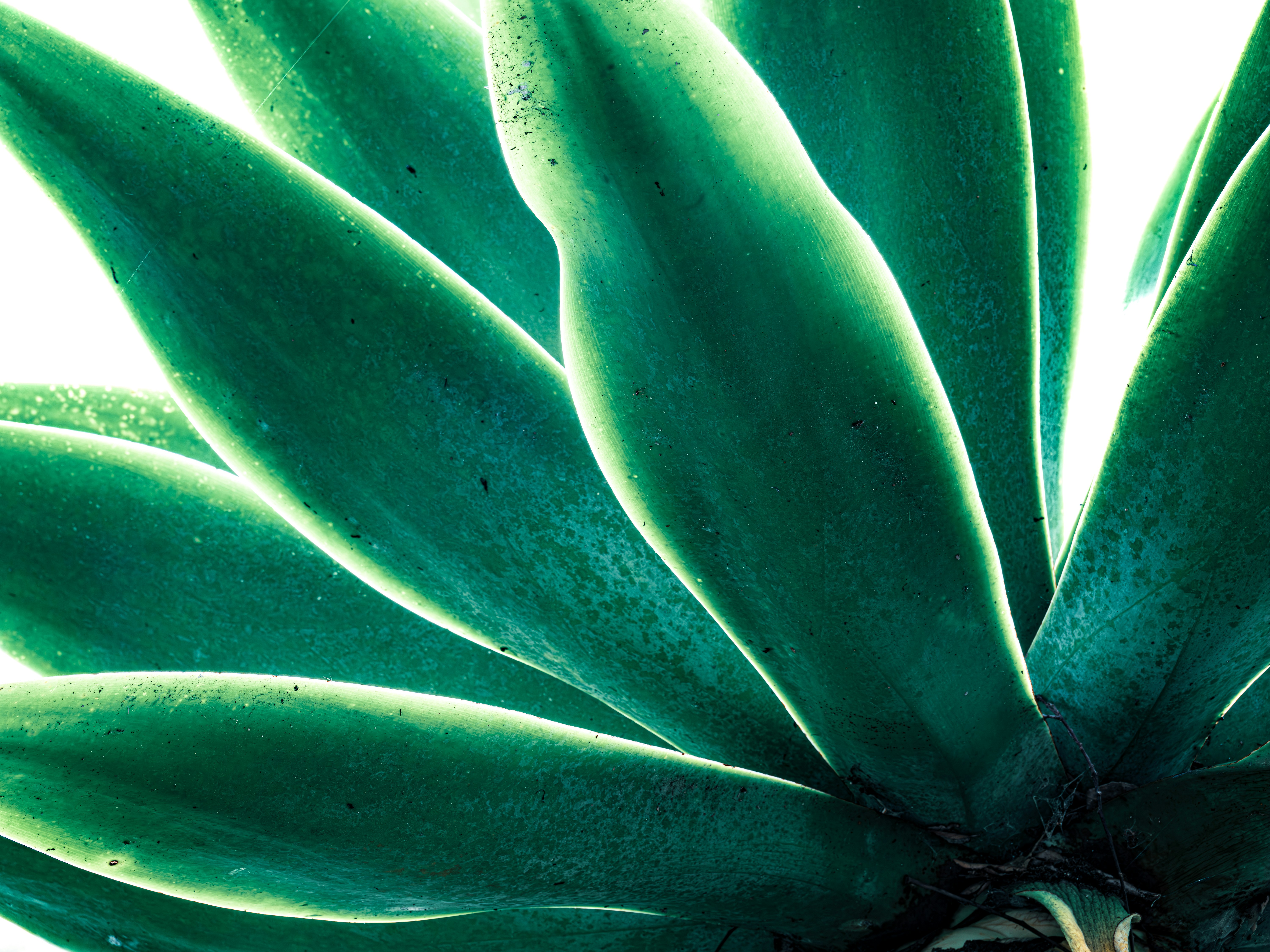 Photo by sschusterphotoart