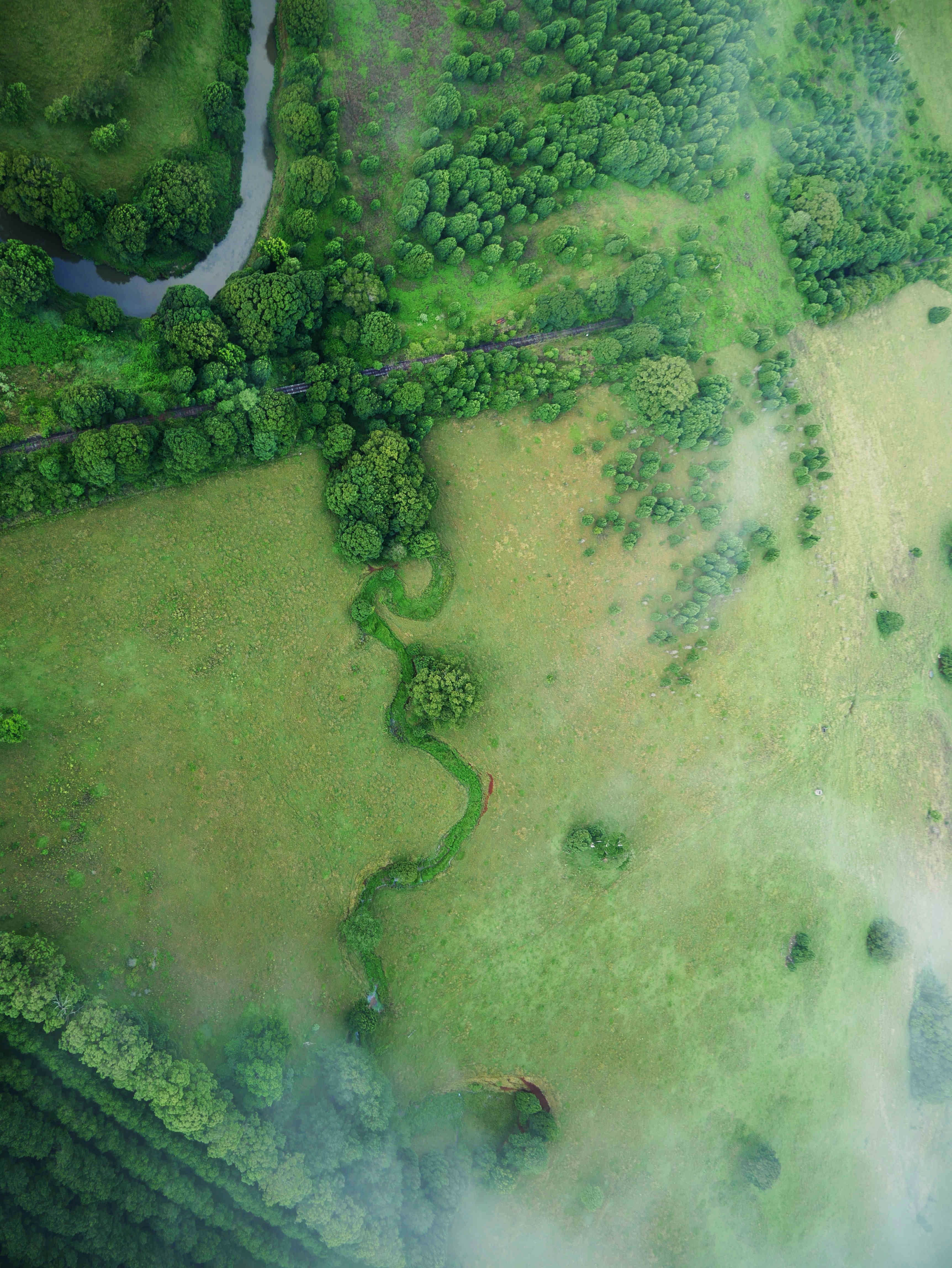 Photo by divineproductionsfilms