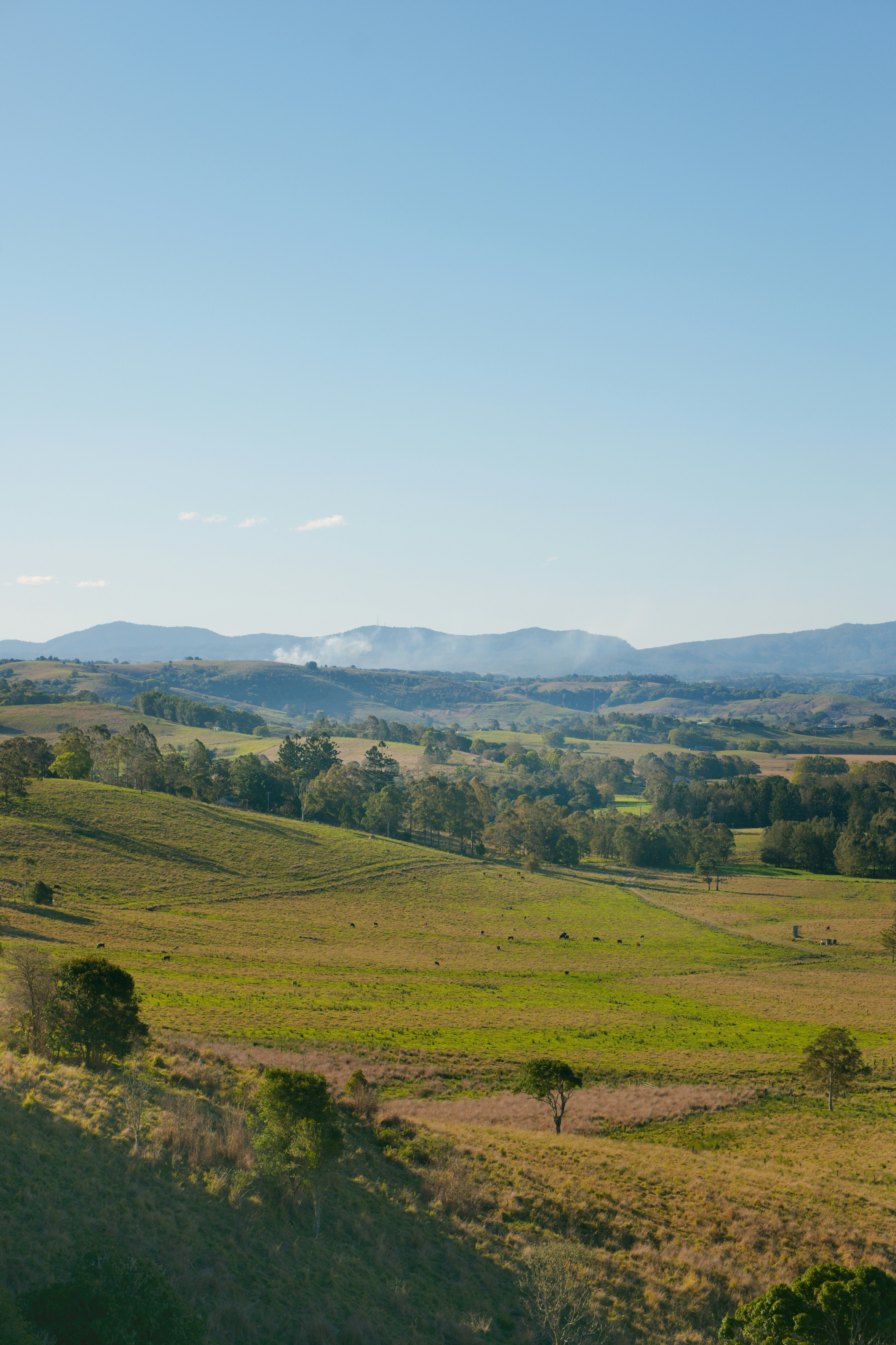 Photo by divineproductionsfilms