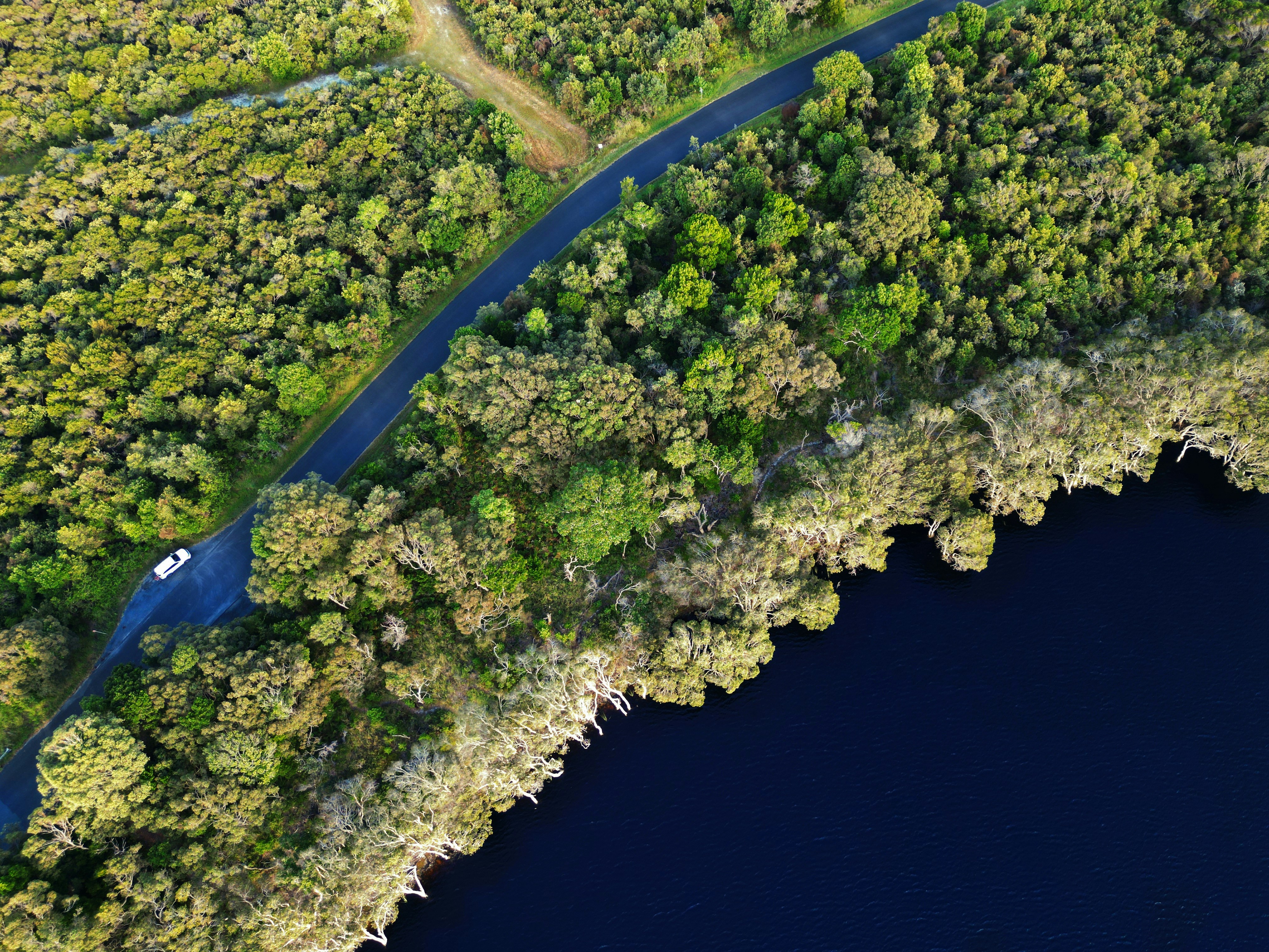 Hodgson Vale, Queensland