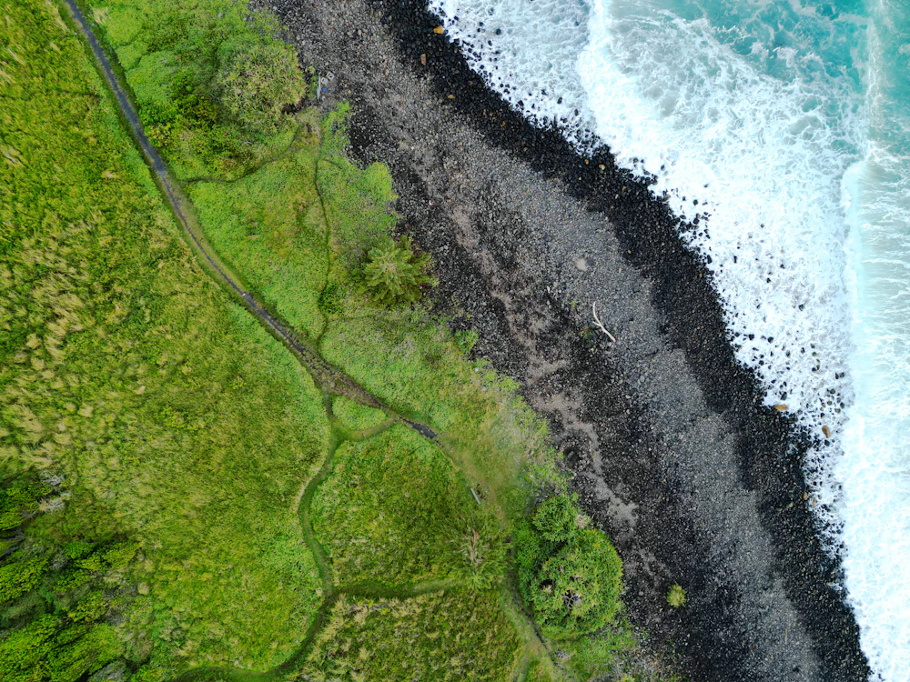 Aerial view of green coastal heathland meeting ocean waves near Lennox Head