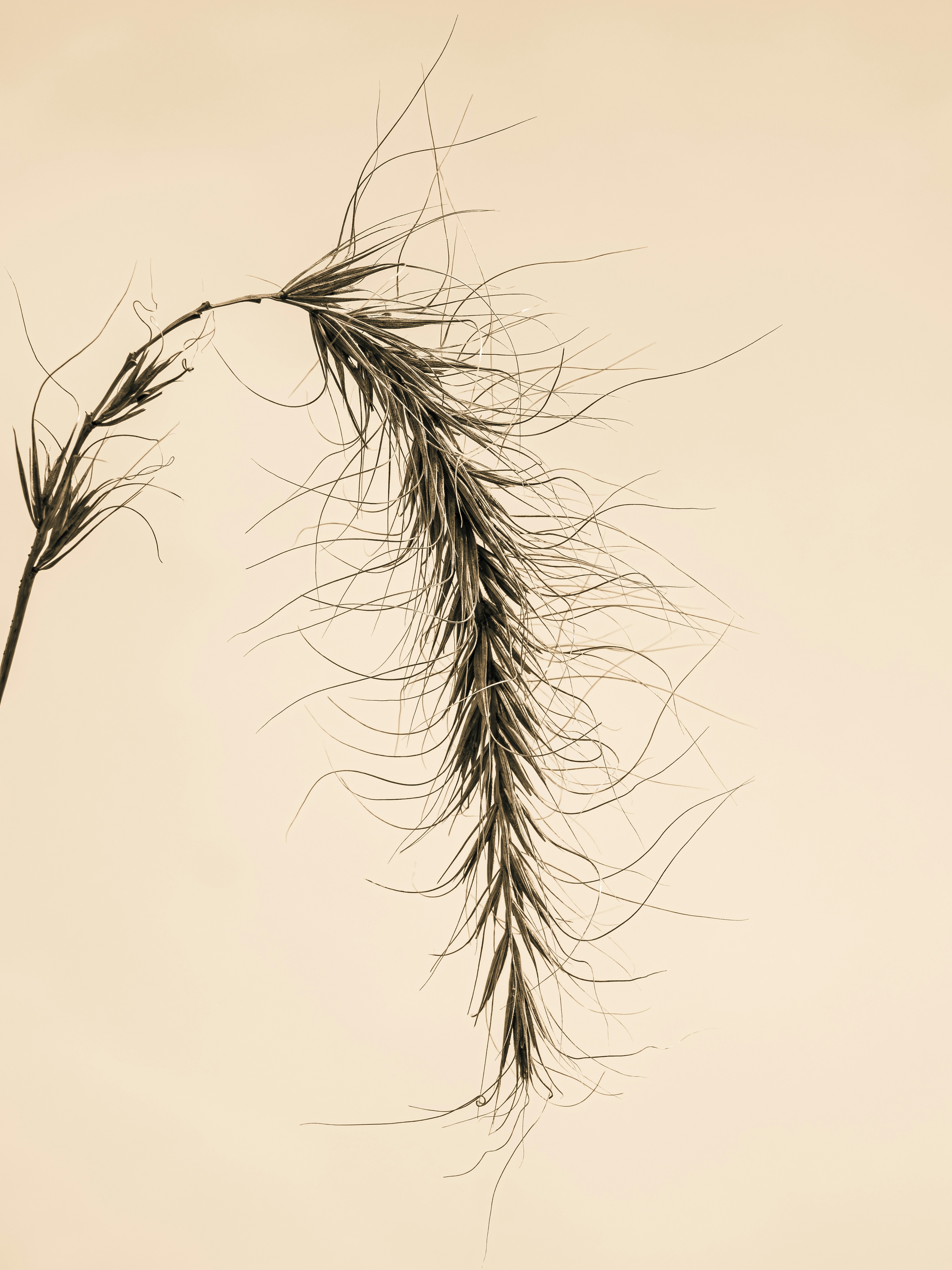 Photo by sschusterphotoart