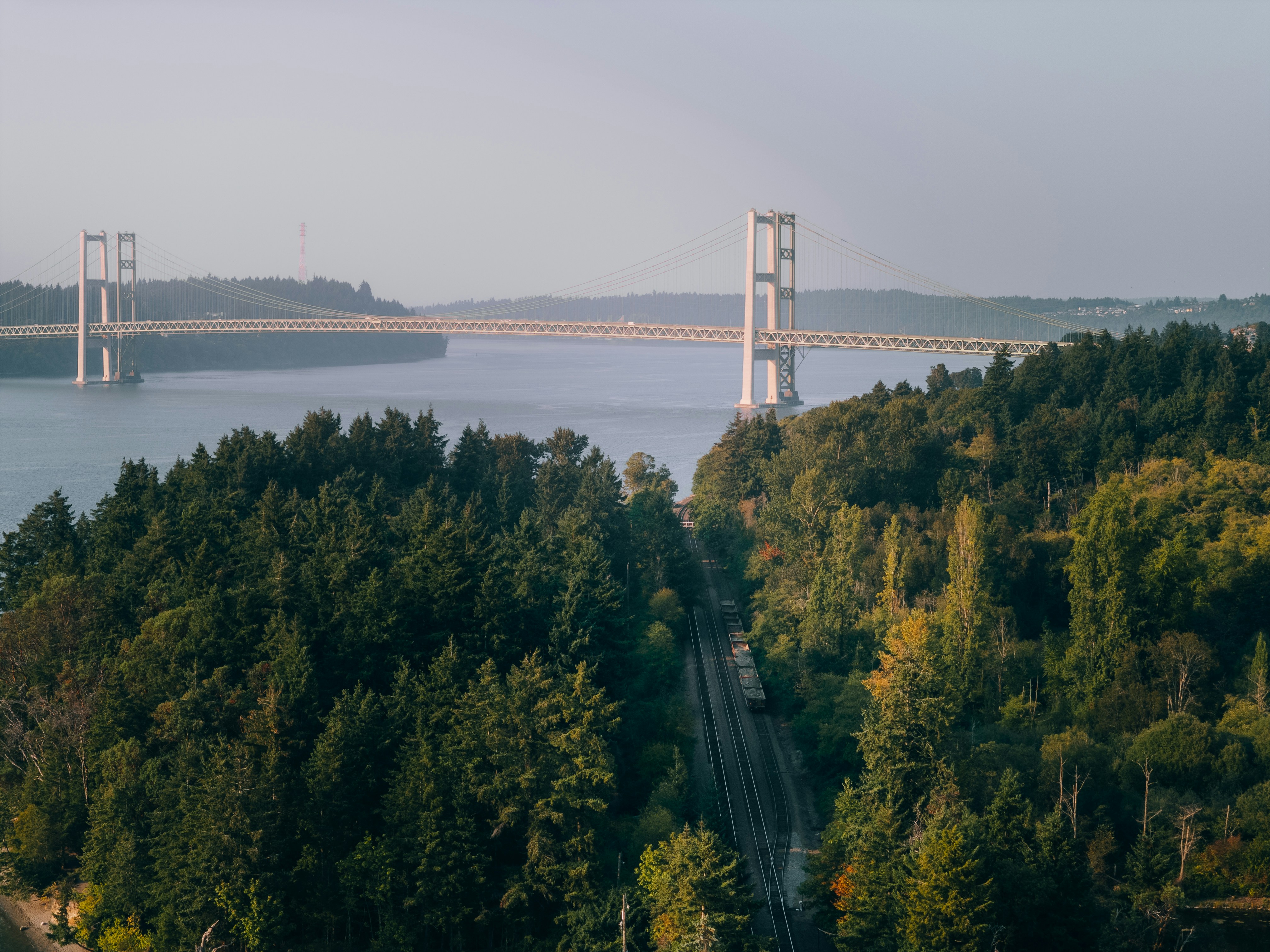 Ponte suspensa eleva-se sobre uma floresta e uma ferrovia.