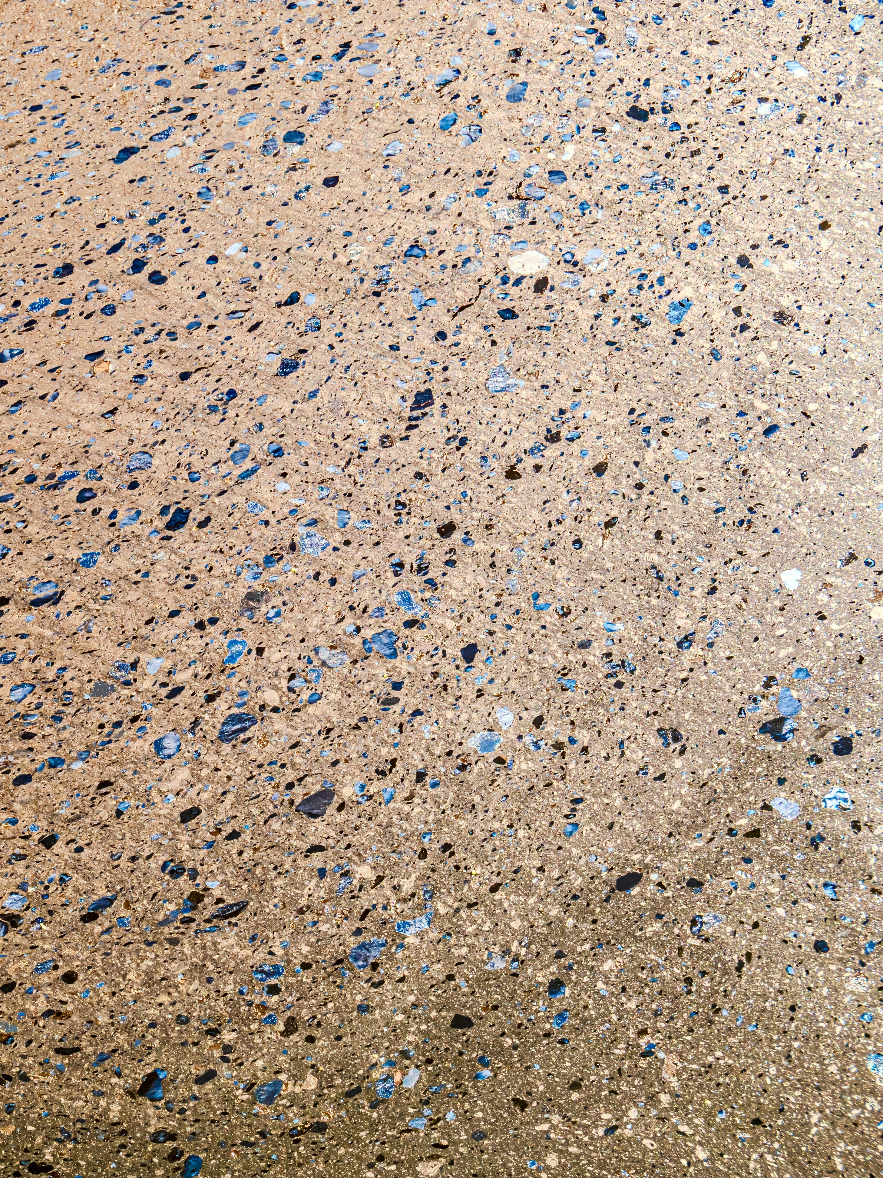 Photo by sschusterphotoart