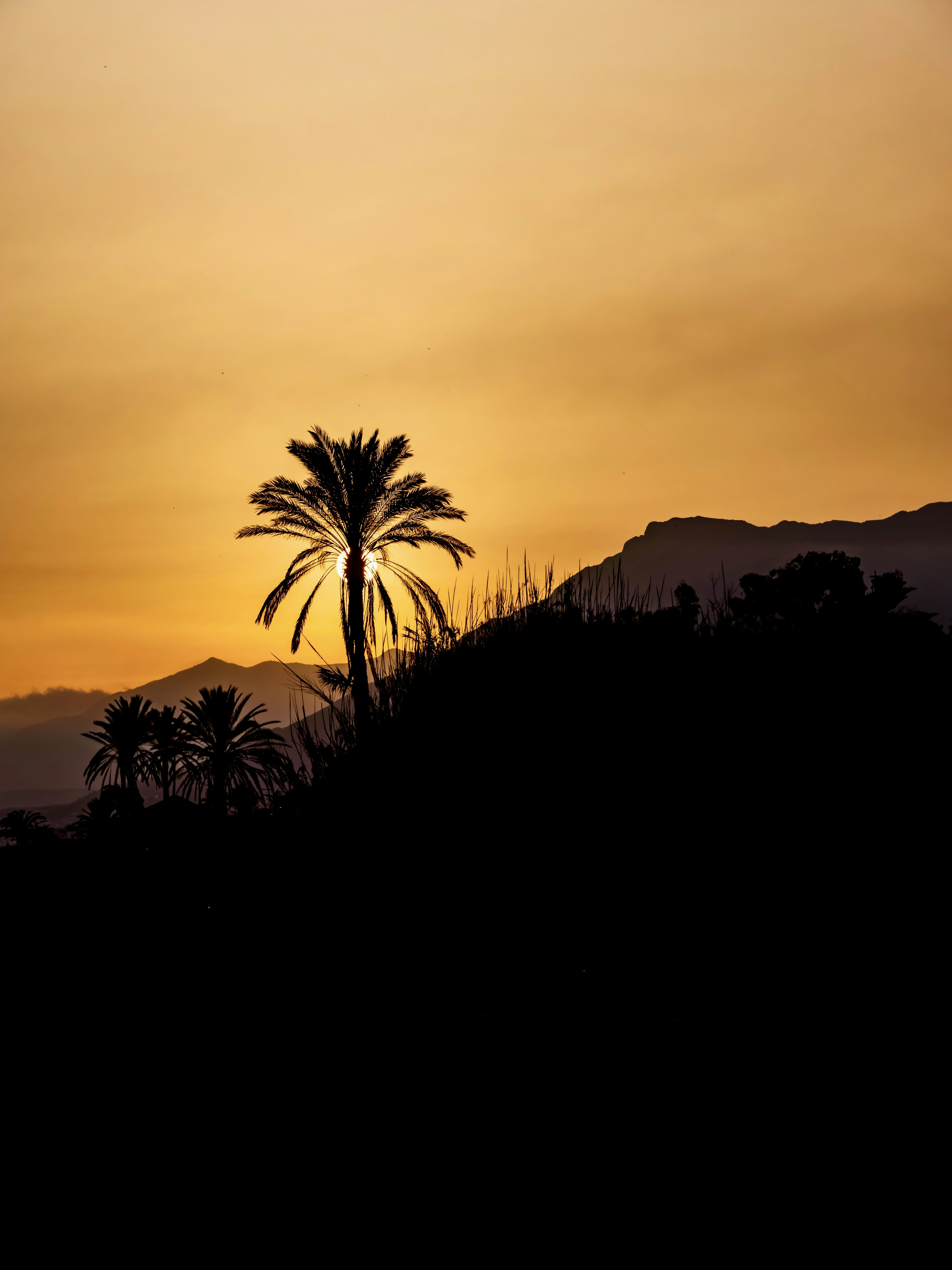 Photo by sschusterphotoart