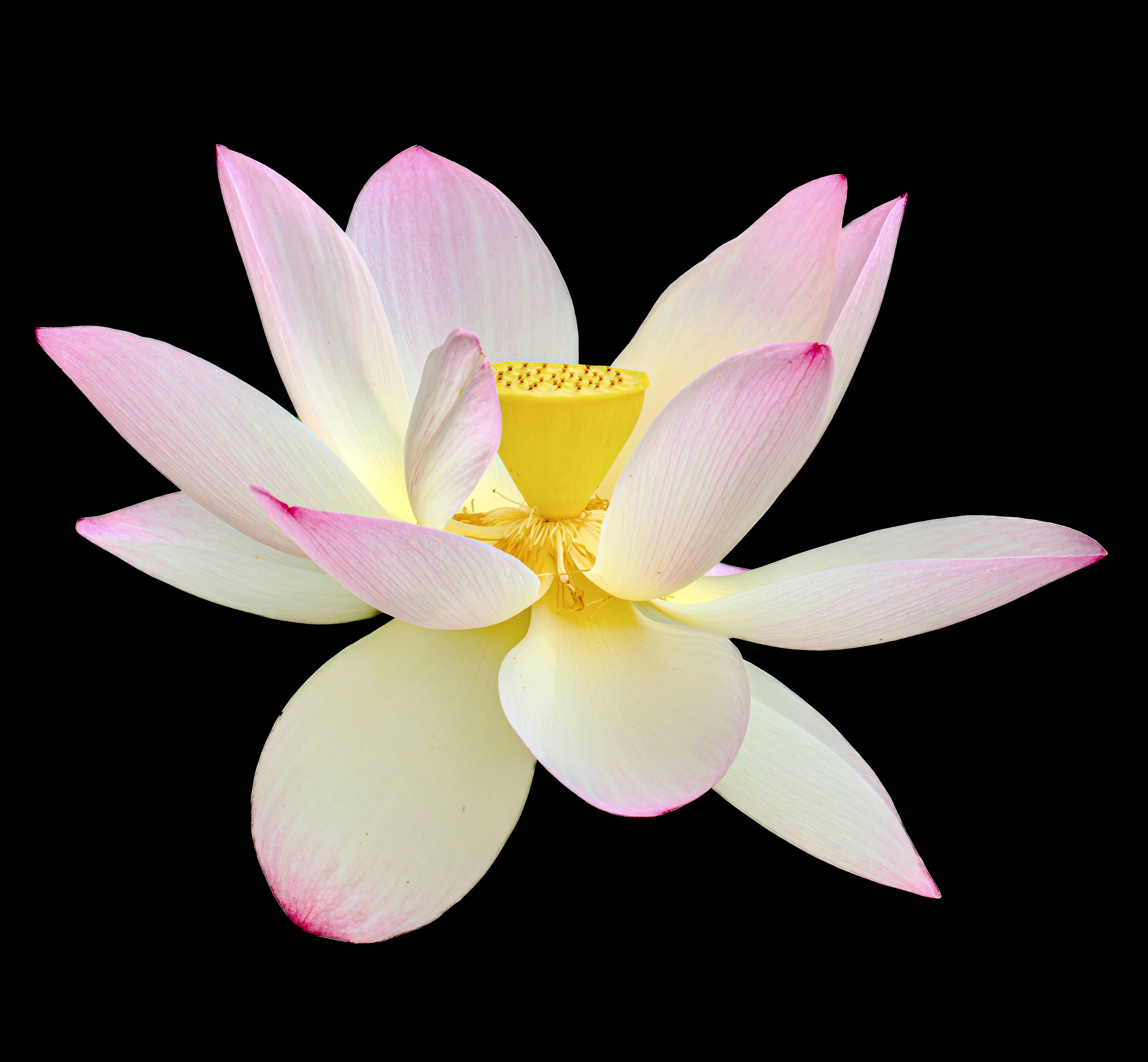 Photo by sschusterphotoart