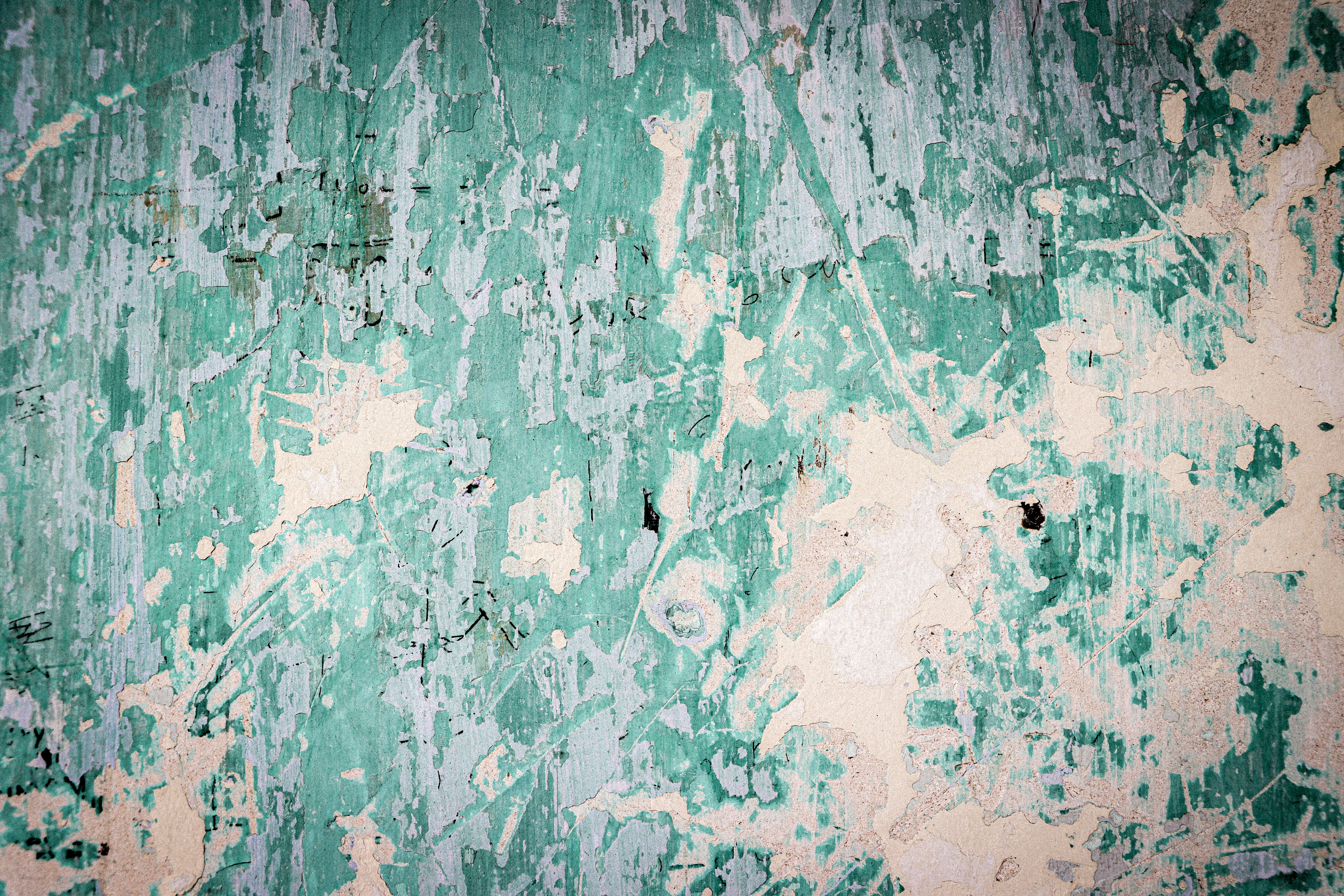 Photo by kamsinjkaneko