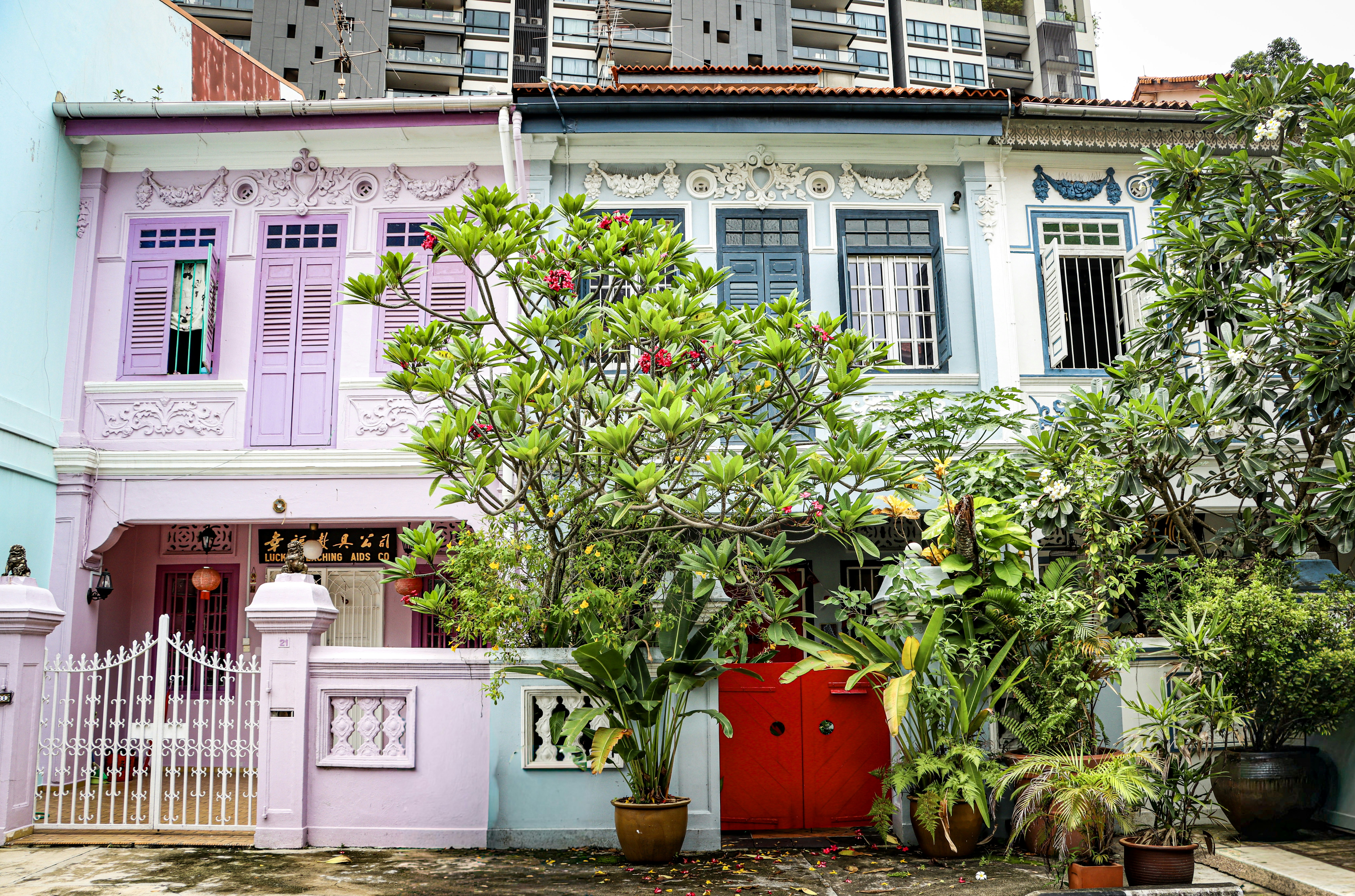 Photo by kamsinjkaneko