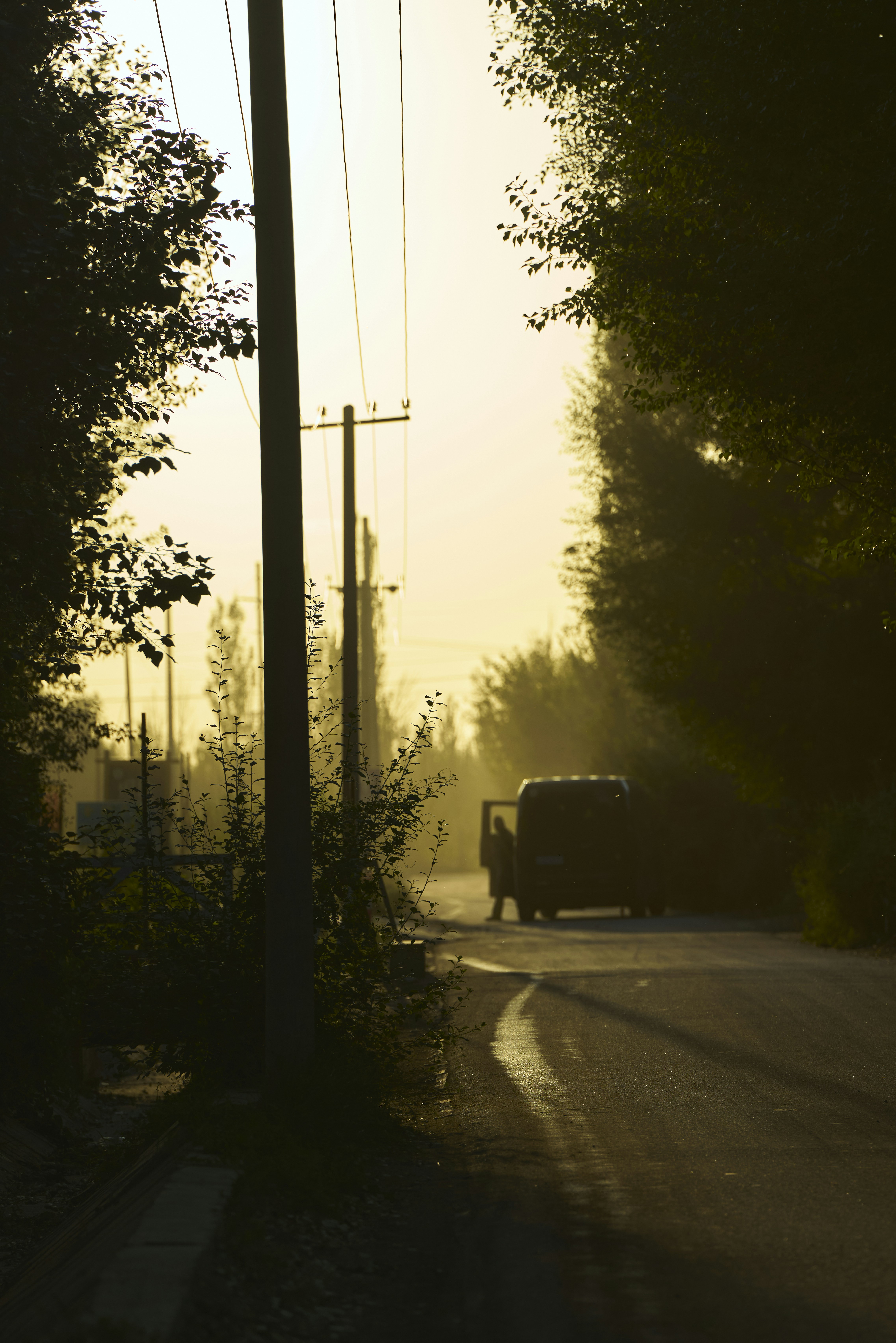 Photo by kohane