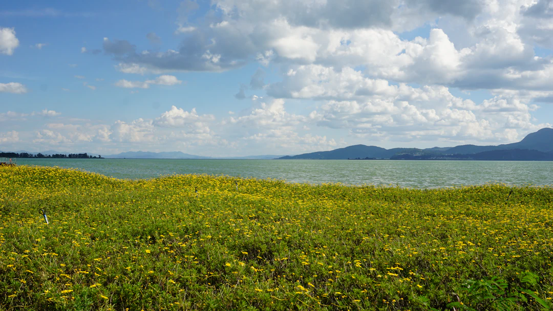 Luxury 6-Day Kunming Travel Itinerary: Classic Routes