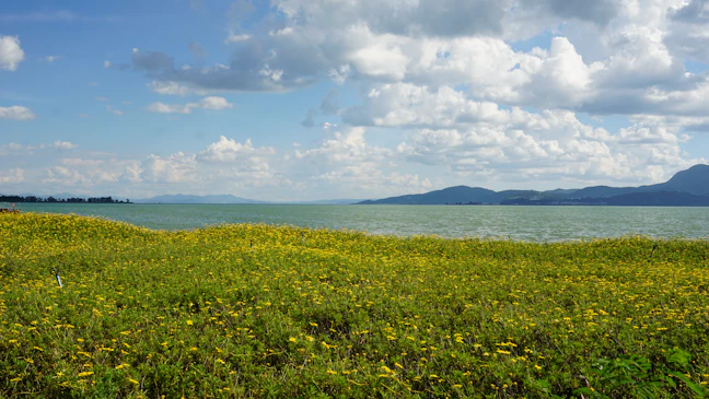 Luxury 6-Day Kunming Travel Itinerary: Classic Routes