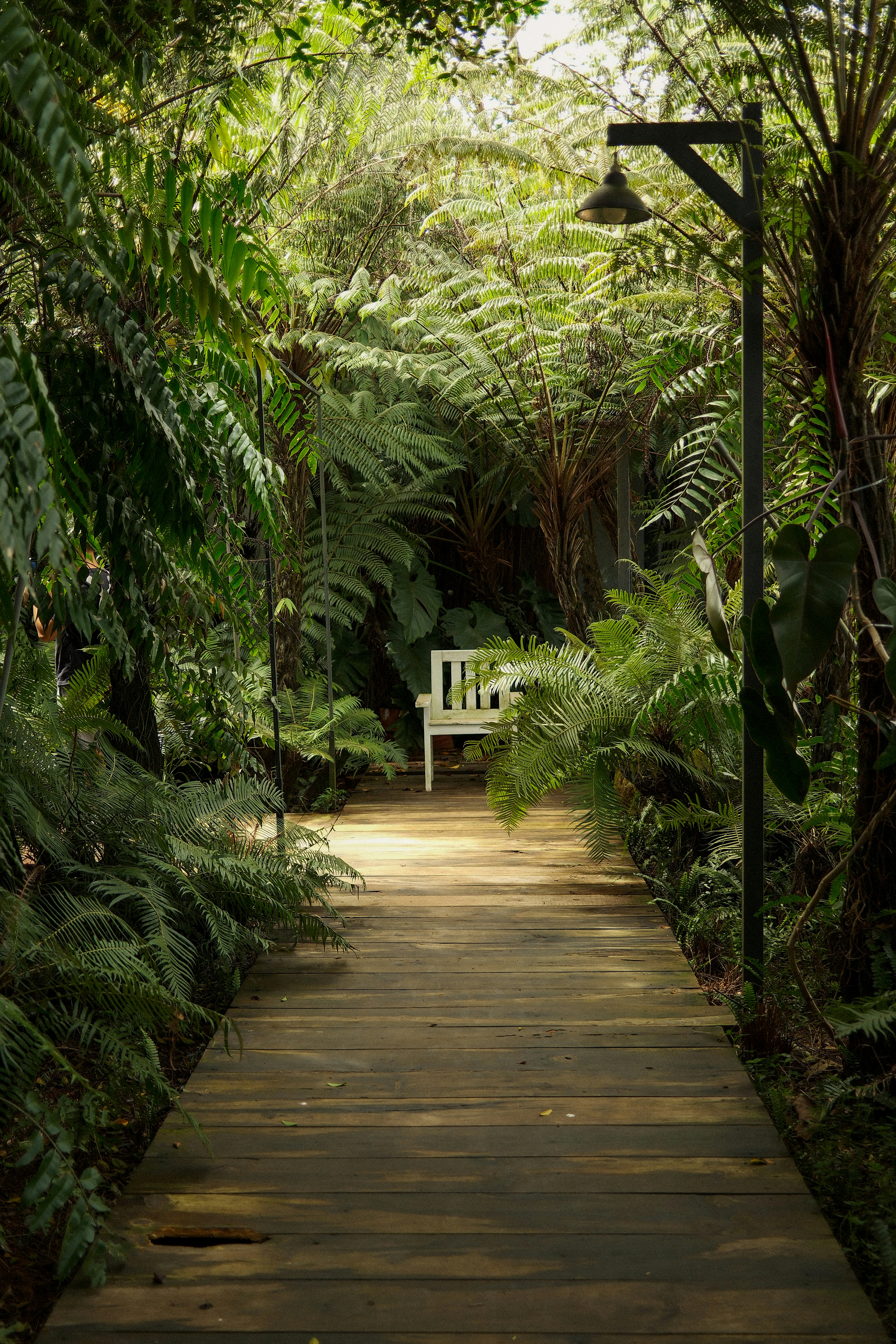 Photo by thanhsoledas