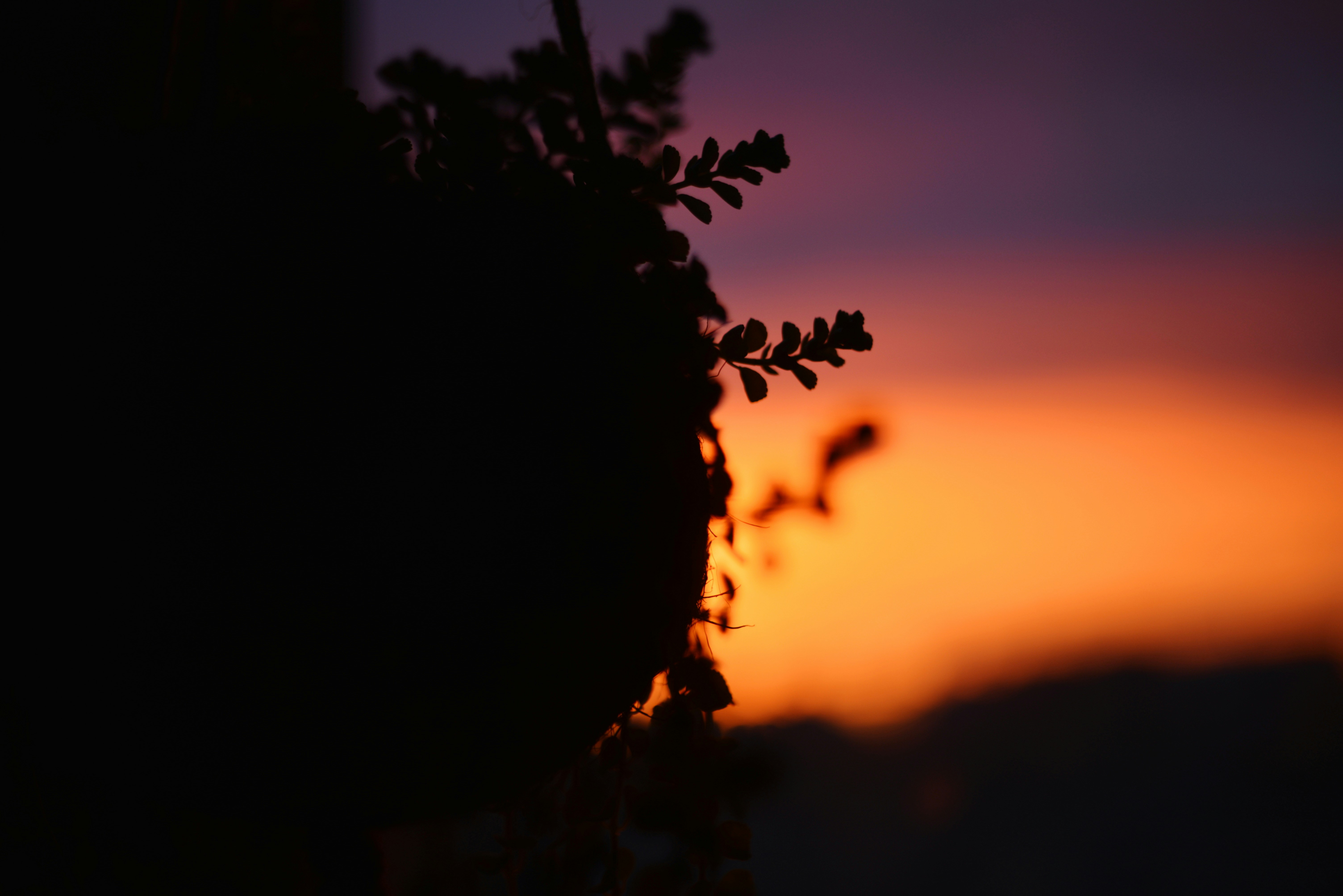 Photo by cherstve_pechivo