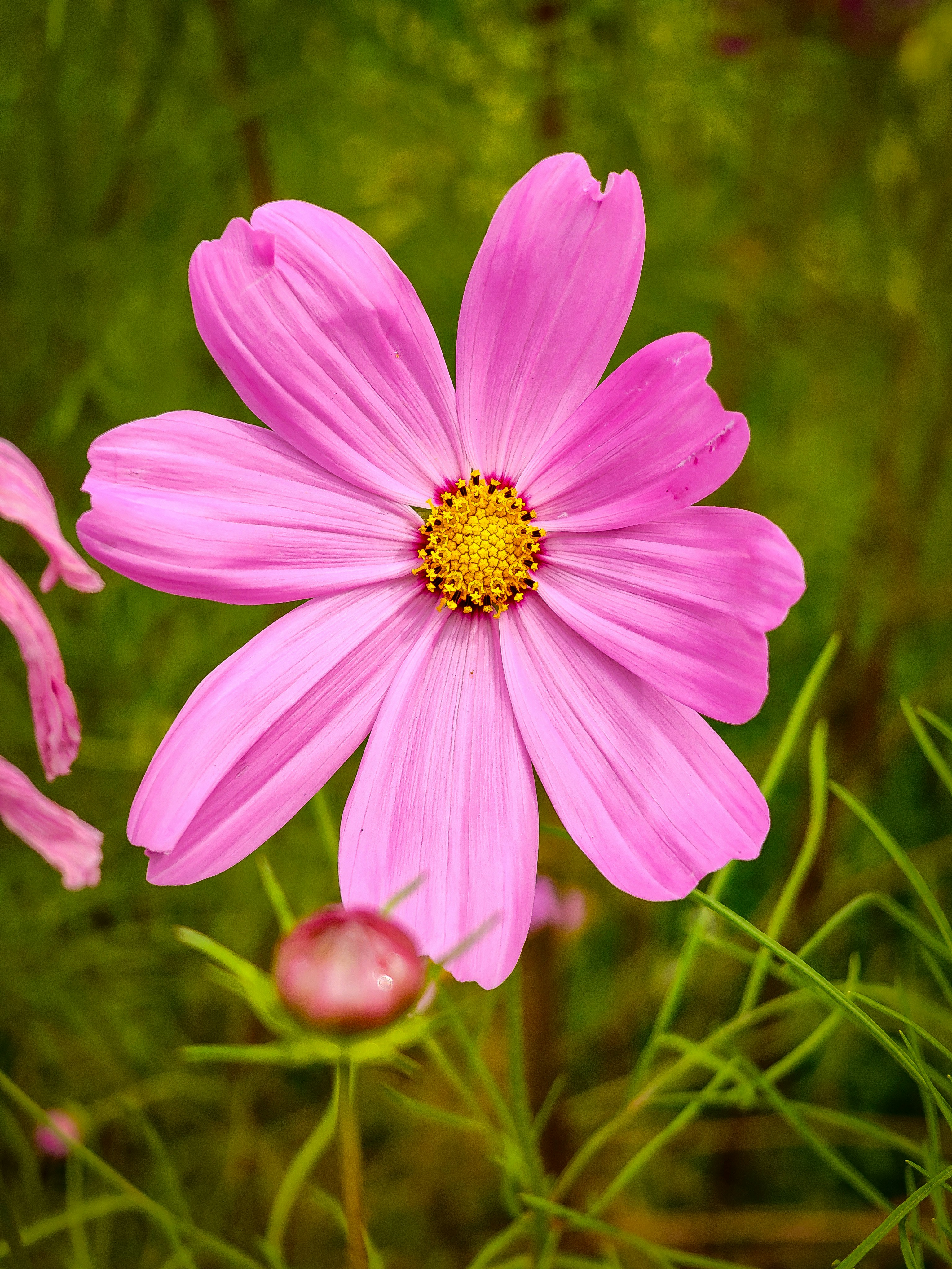 Photo by emmanual_jose