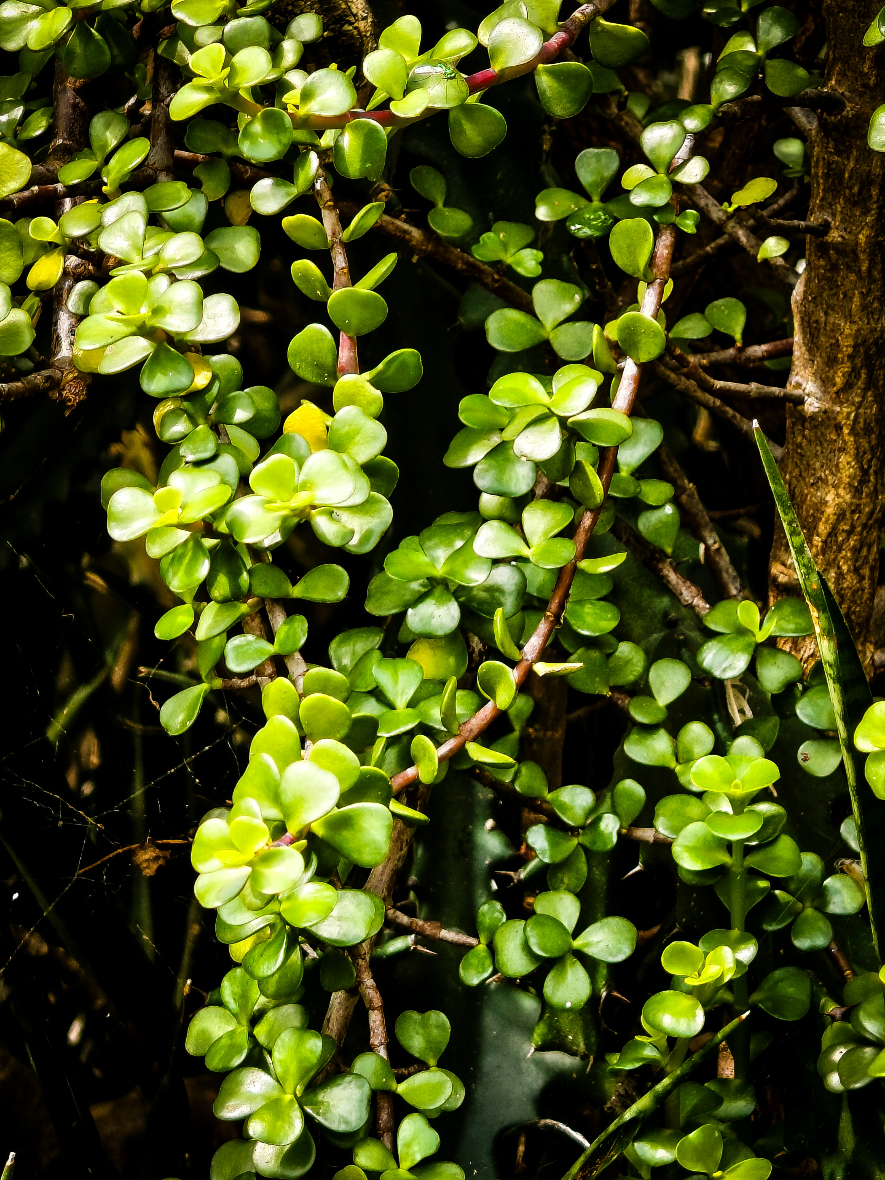 Photo by emmanual_jose