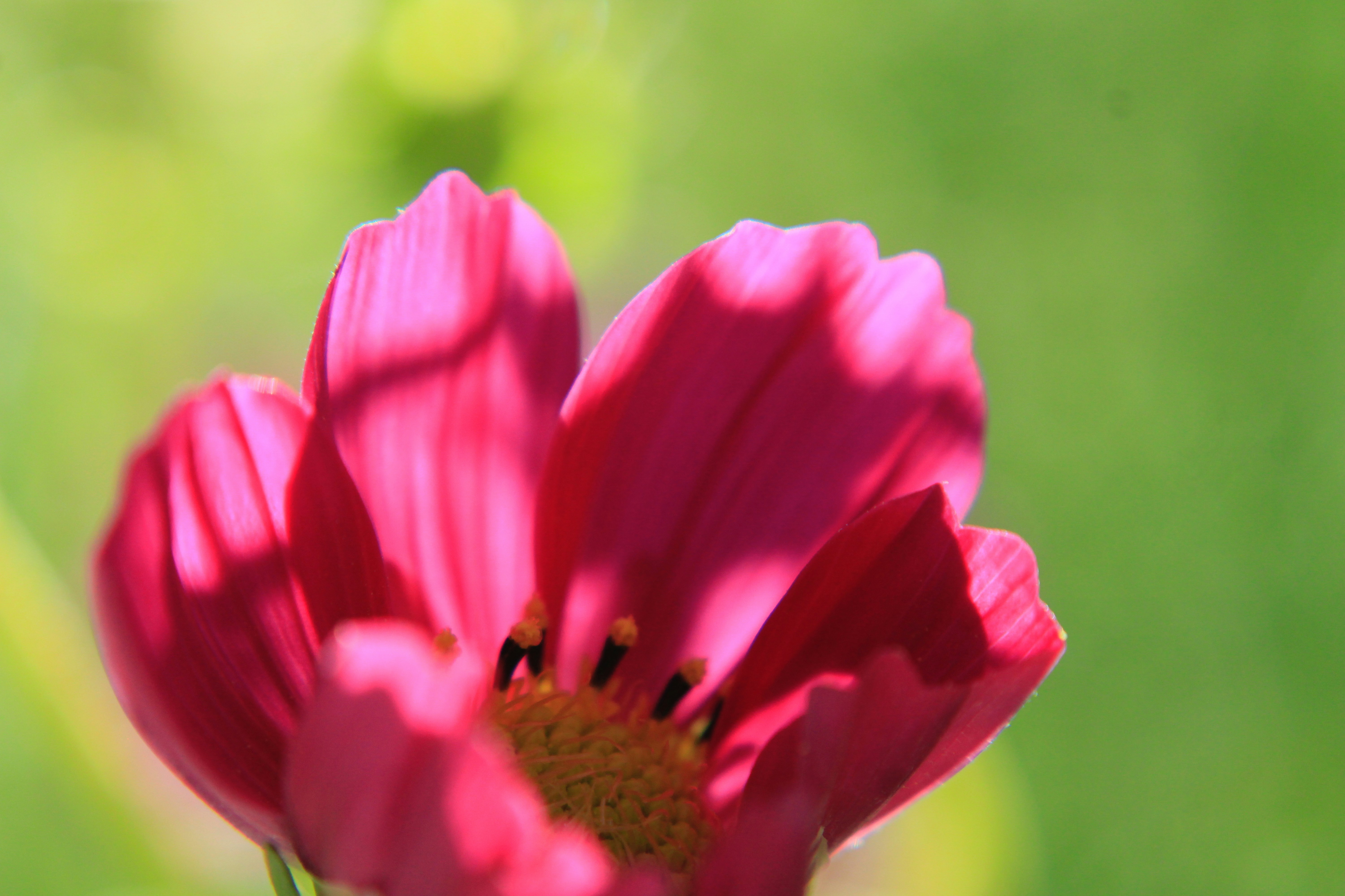 Photo by lisa_duqlaw