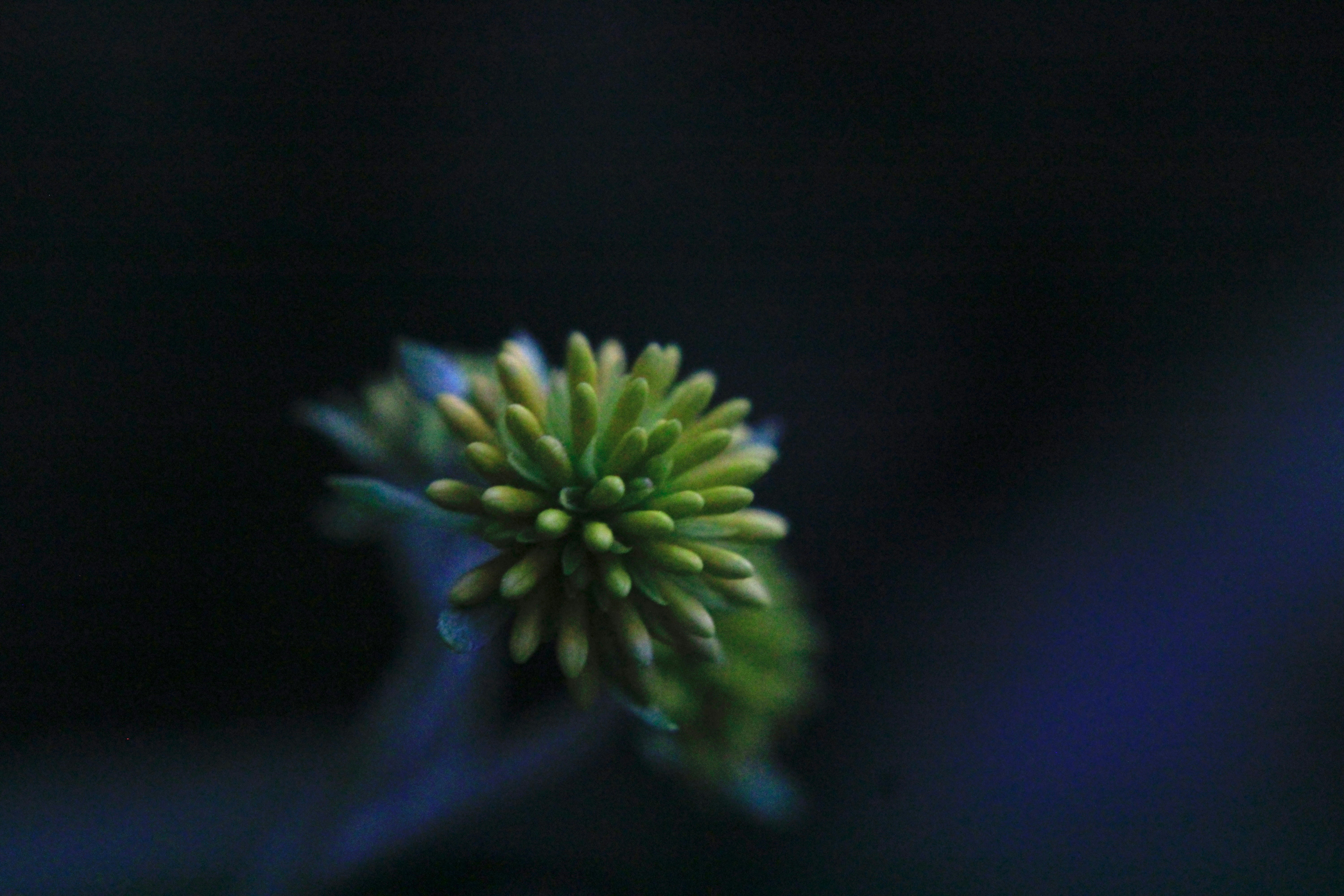 Photo by lisa_duqlaw