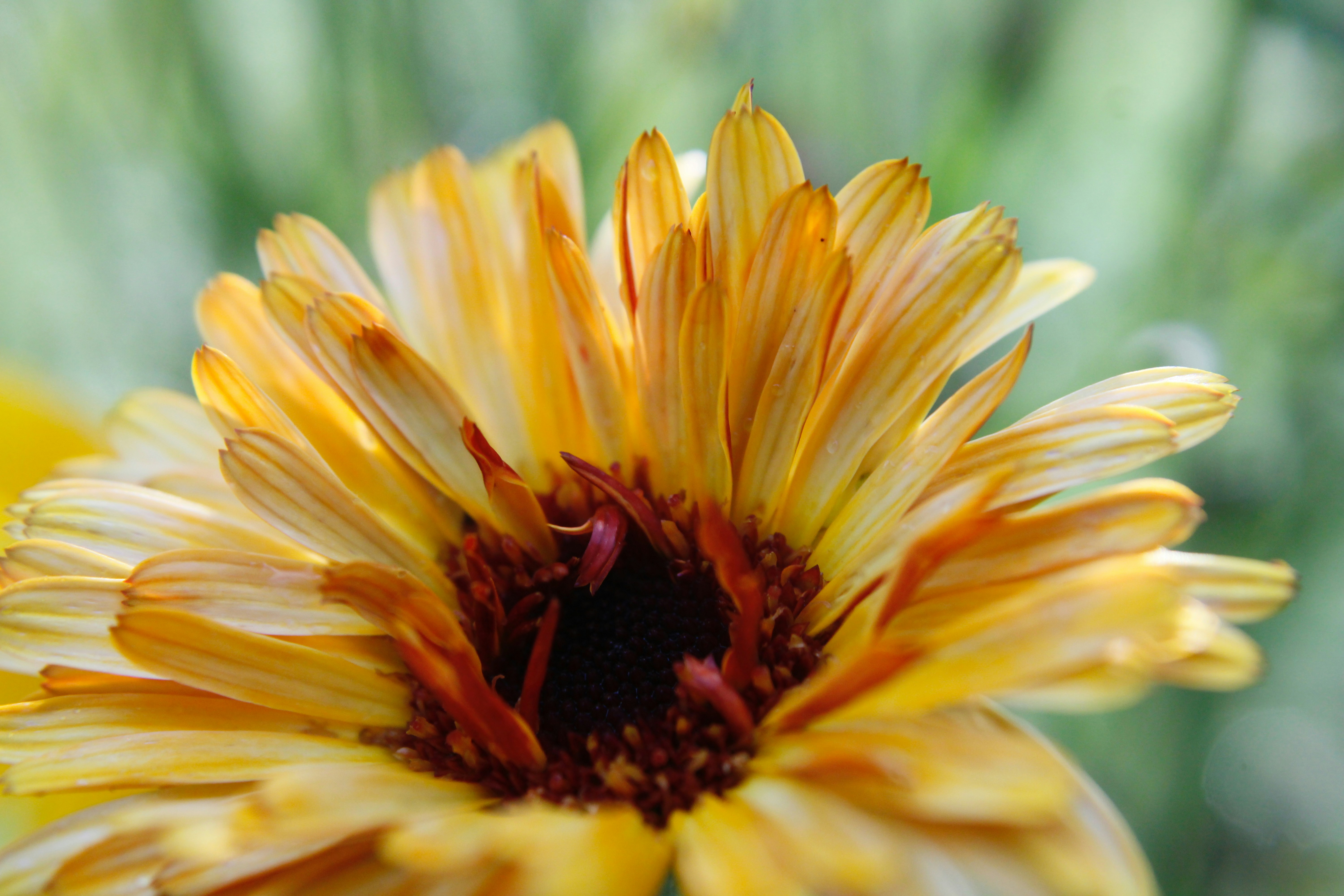 Photo by lisa_duqlaw