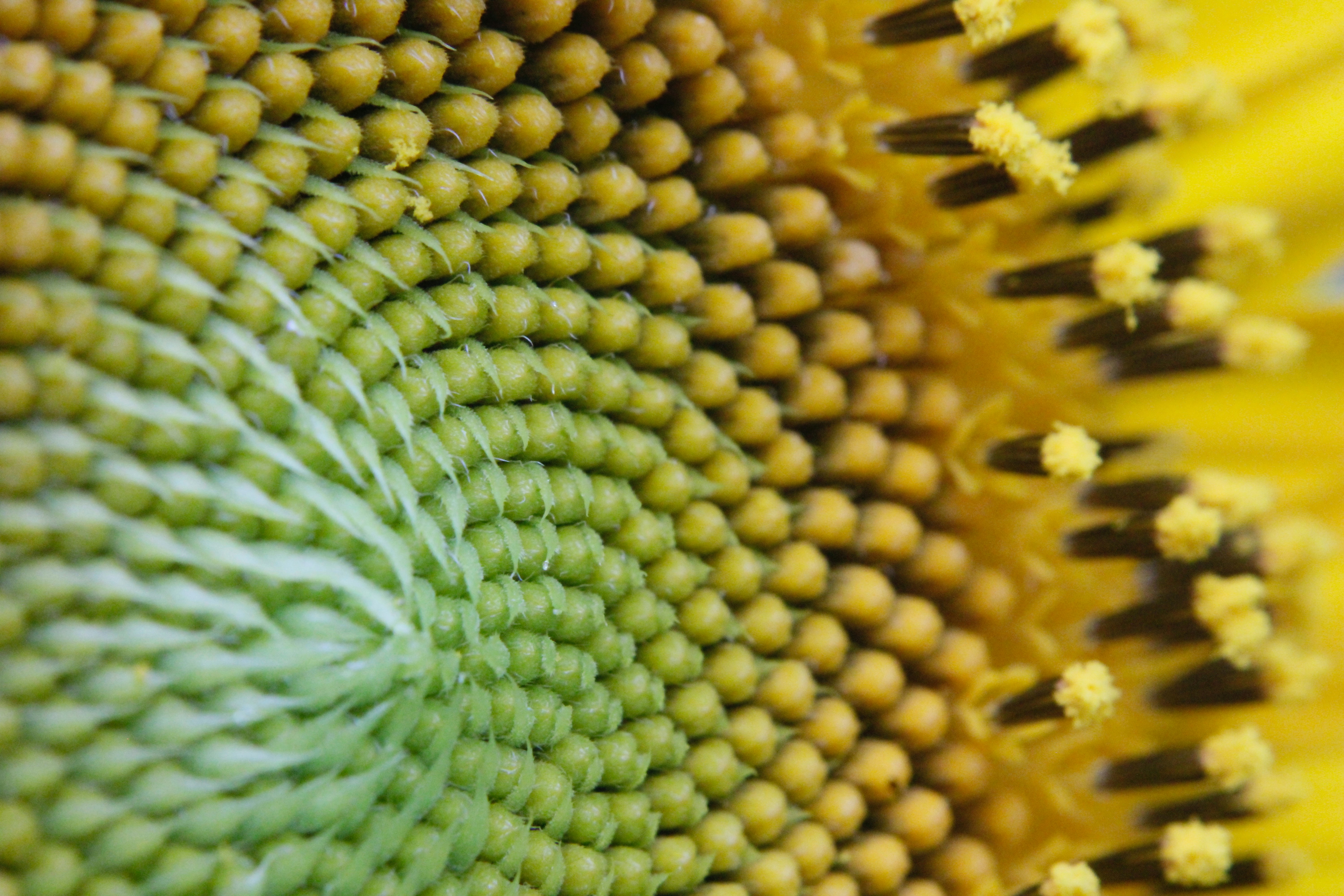 Photo by lisa_duqlaw