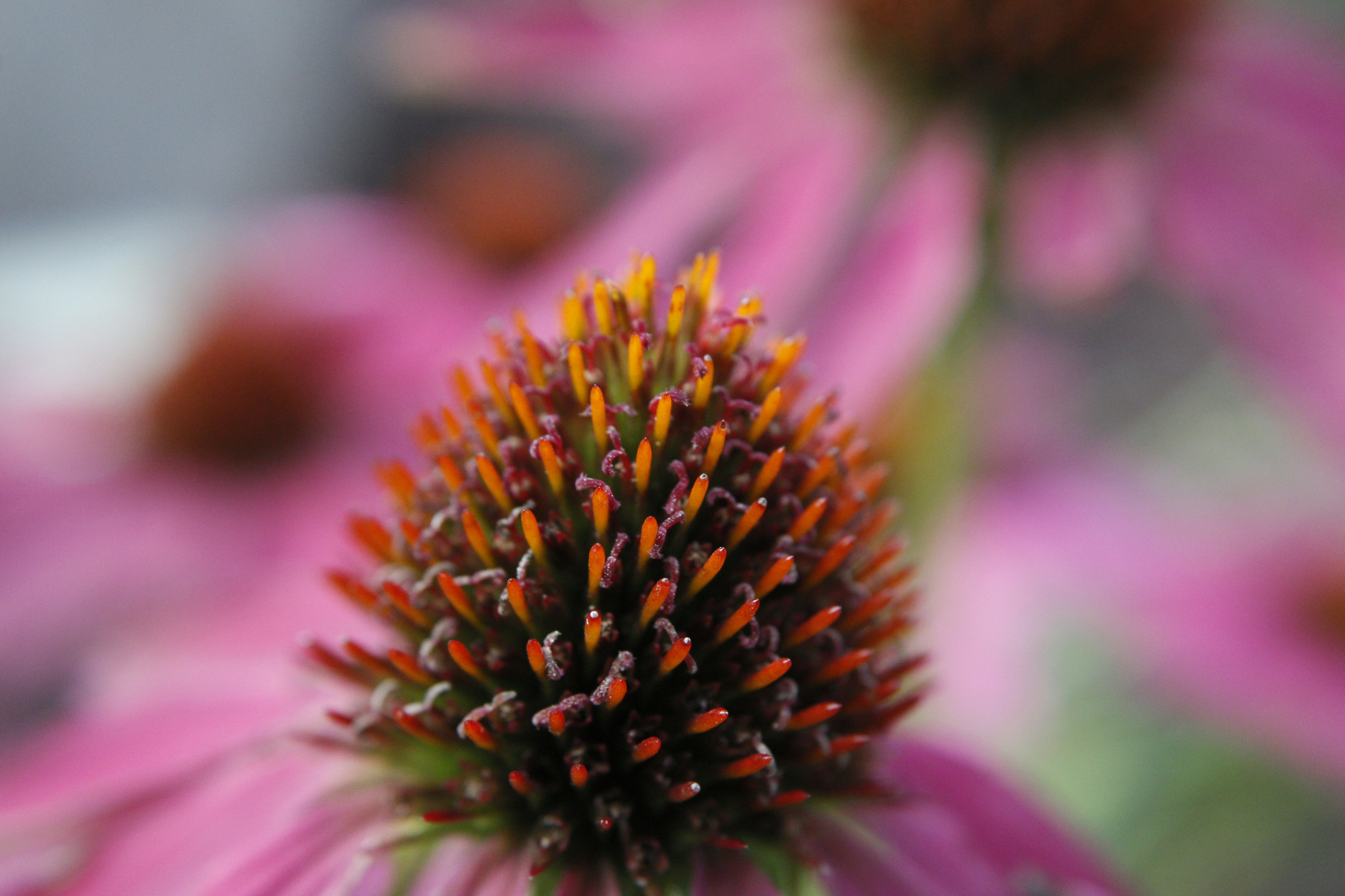 Photo by lisa_duqlaw