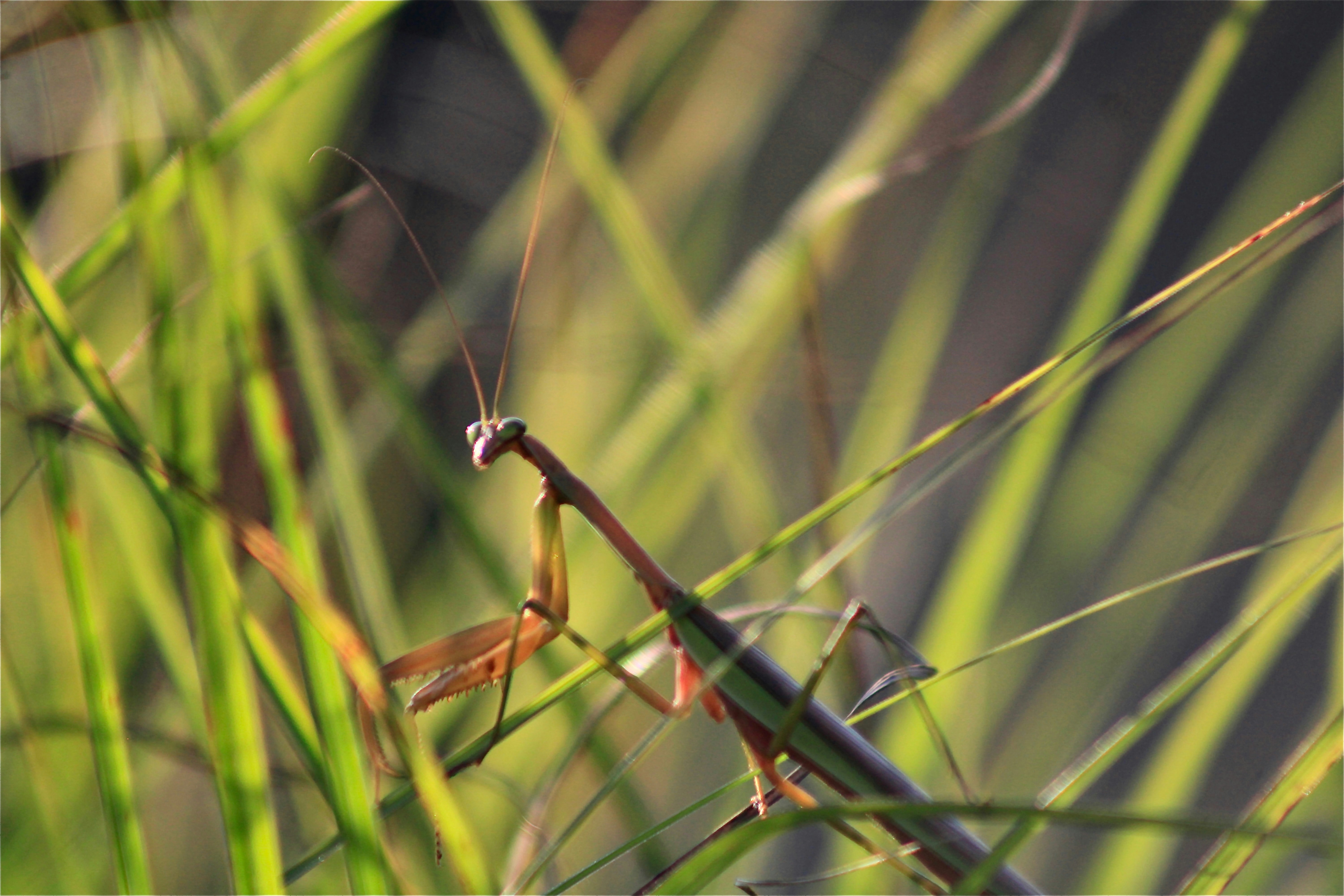 Photo by lisa_duqlaw