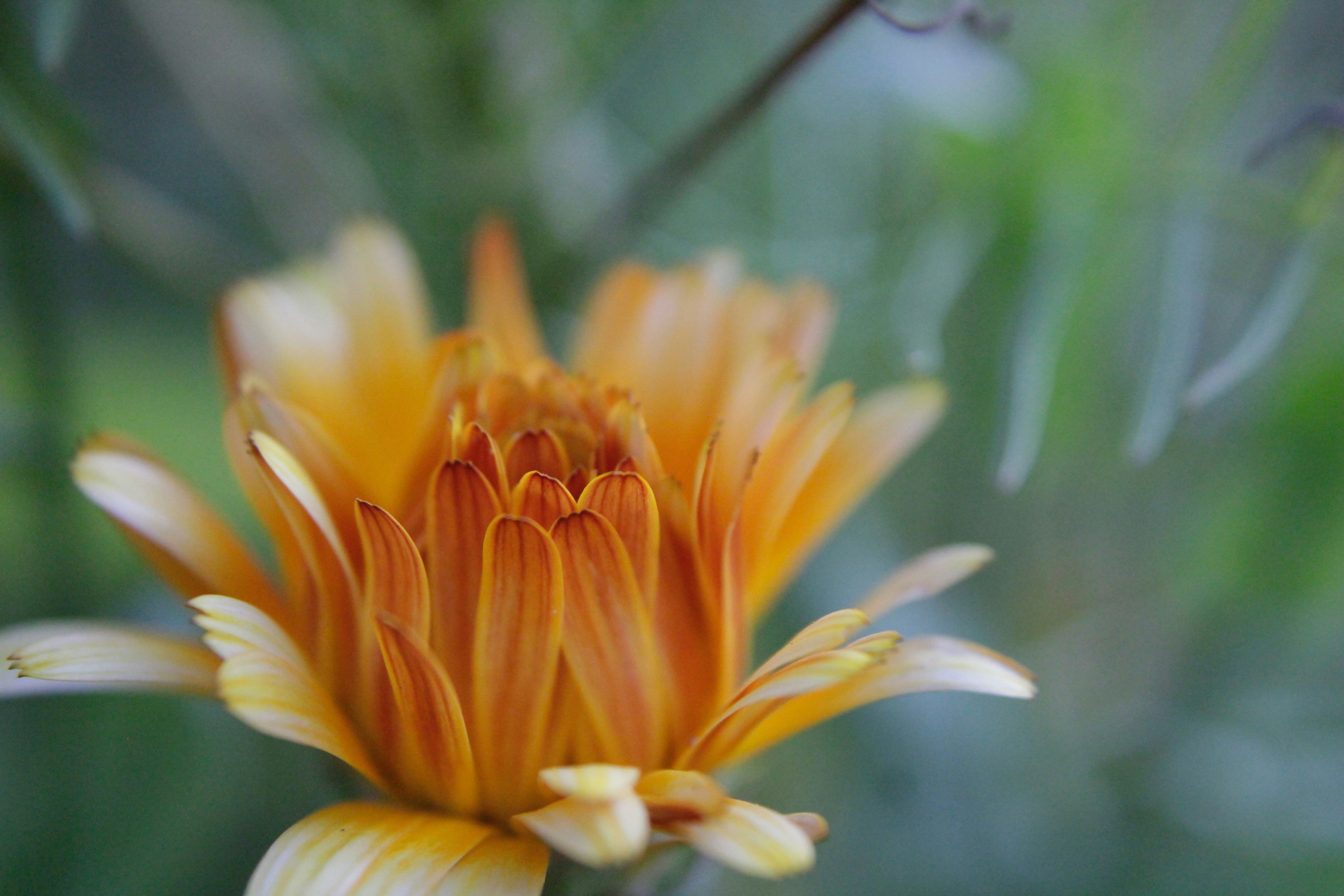 Photo by lisa_duqlaw