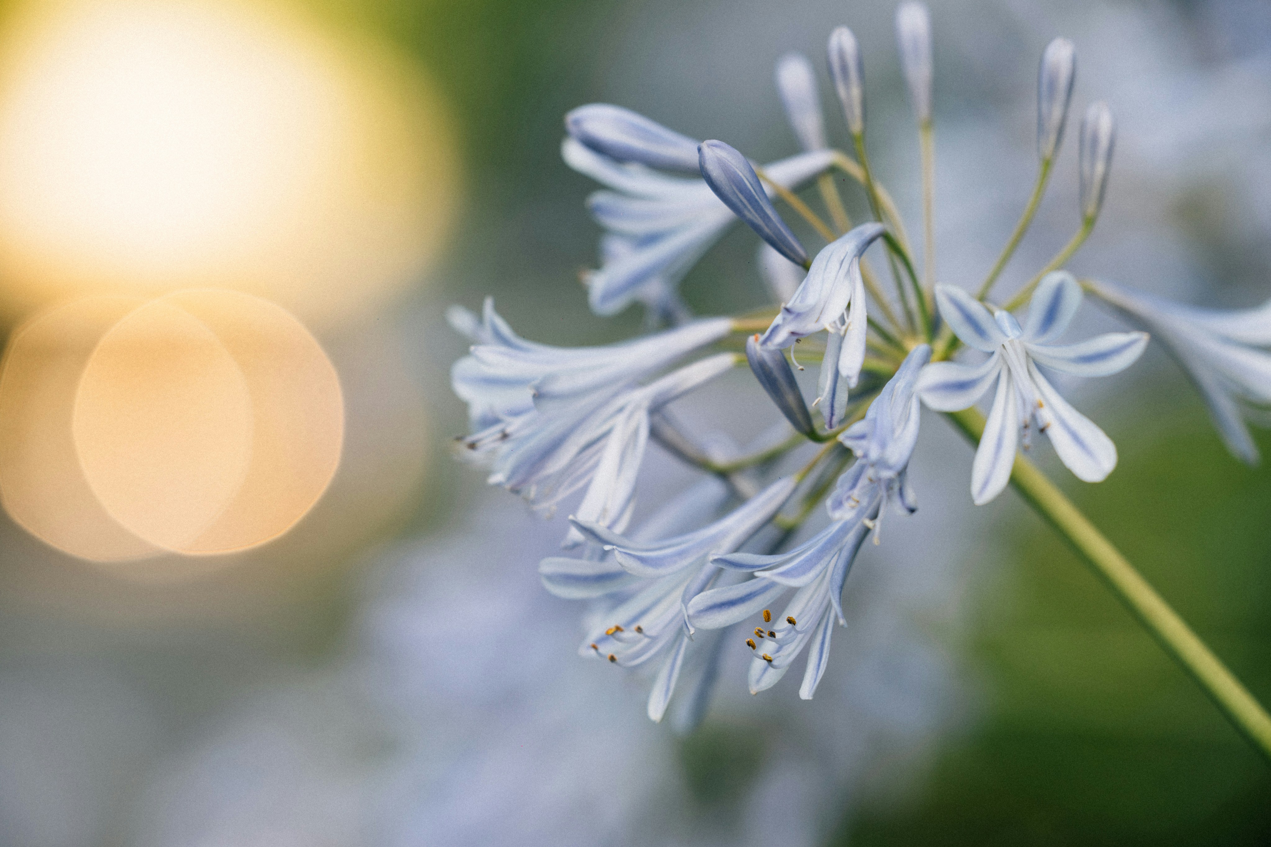 Photo by tsuyoshikozu