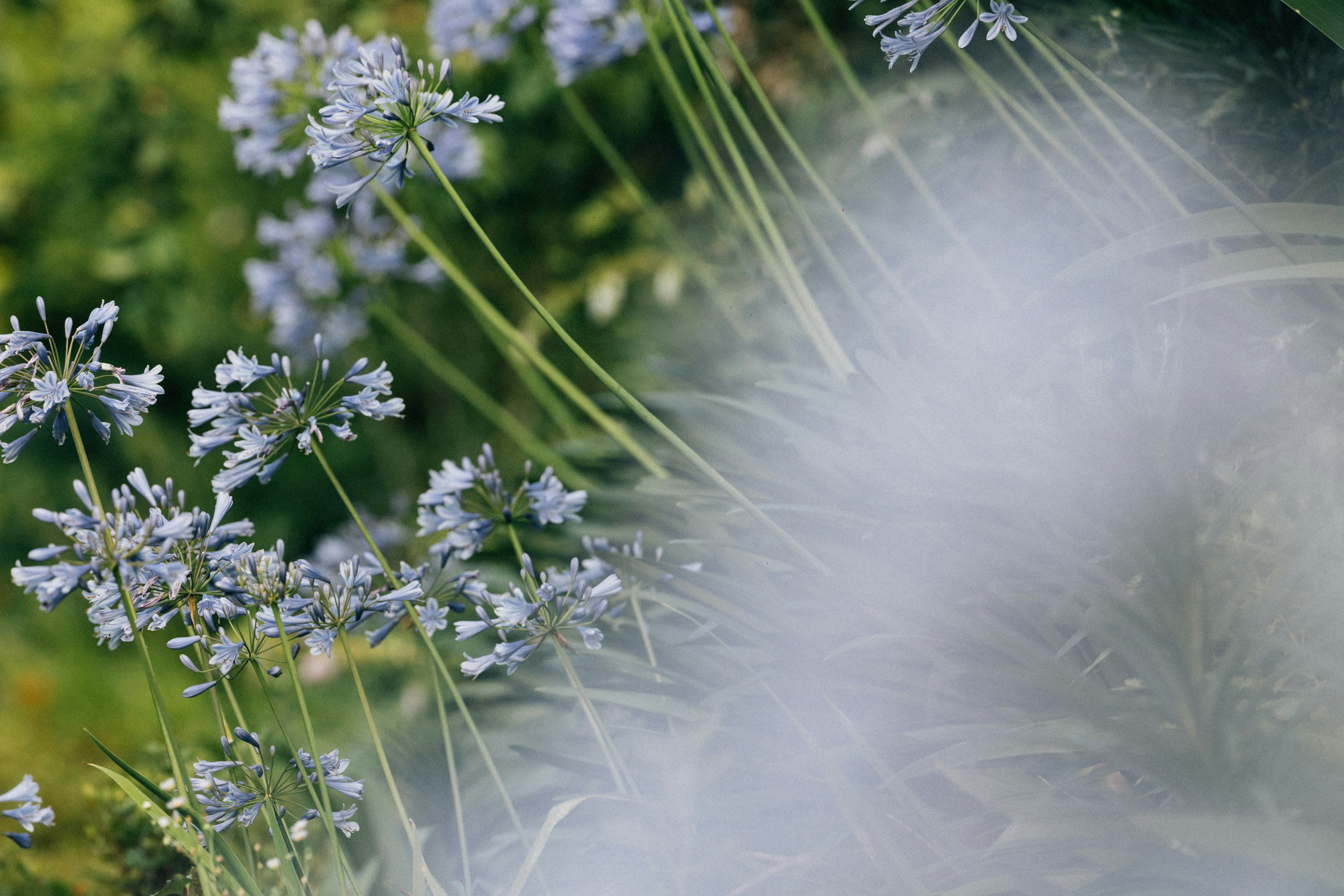 Photo by tsuyoshikozu