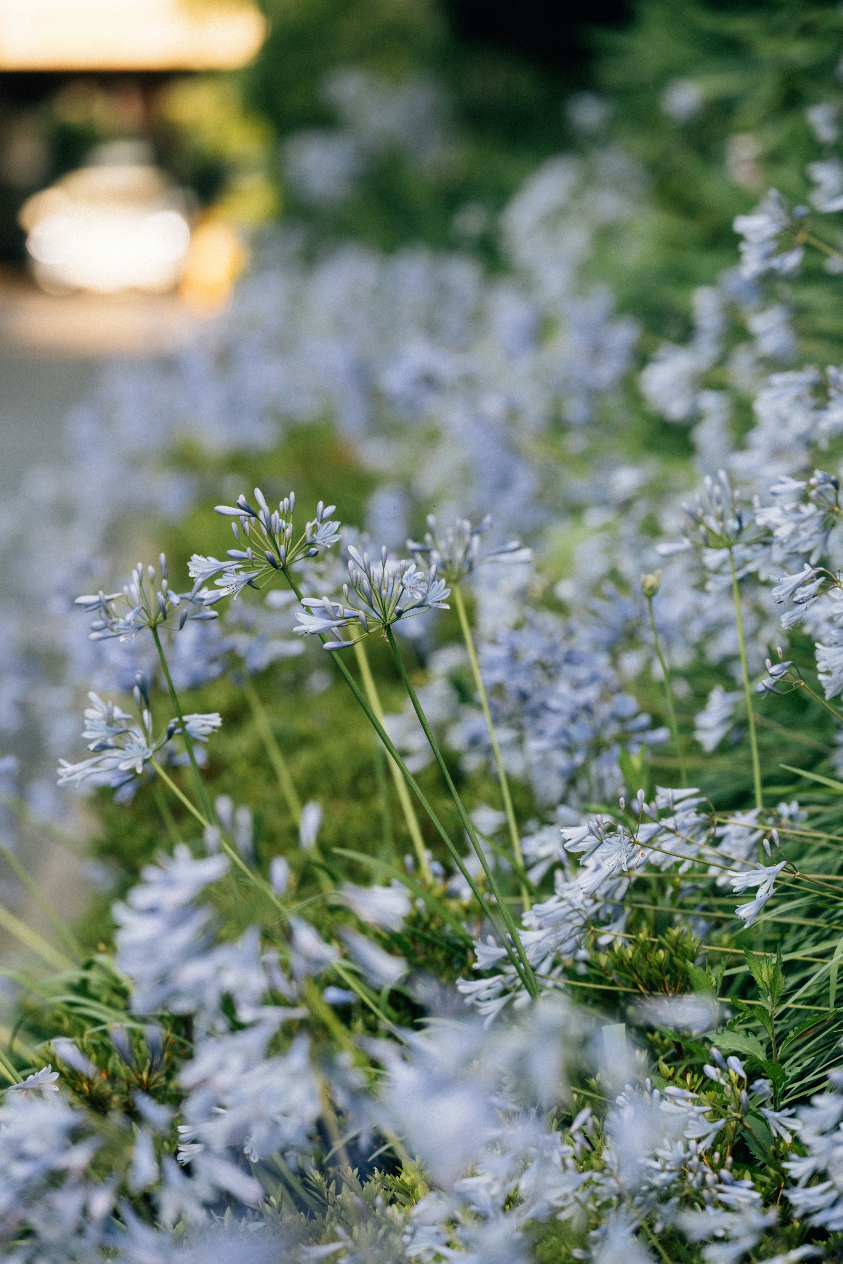 Photo by tsuyoshikozu