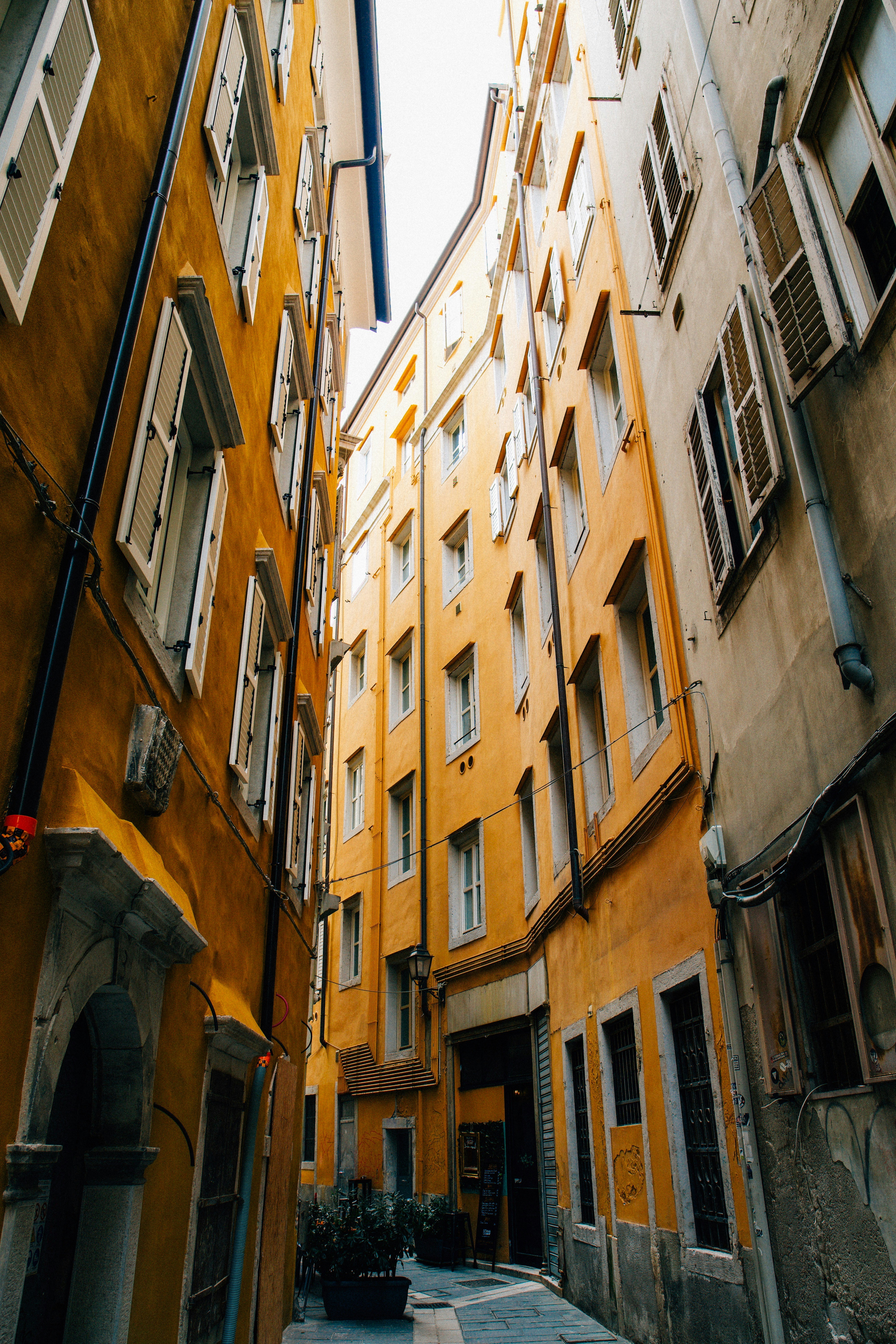 Photo by christianlue