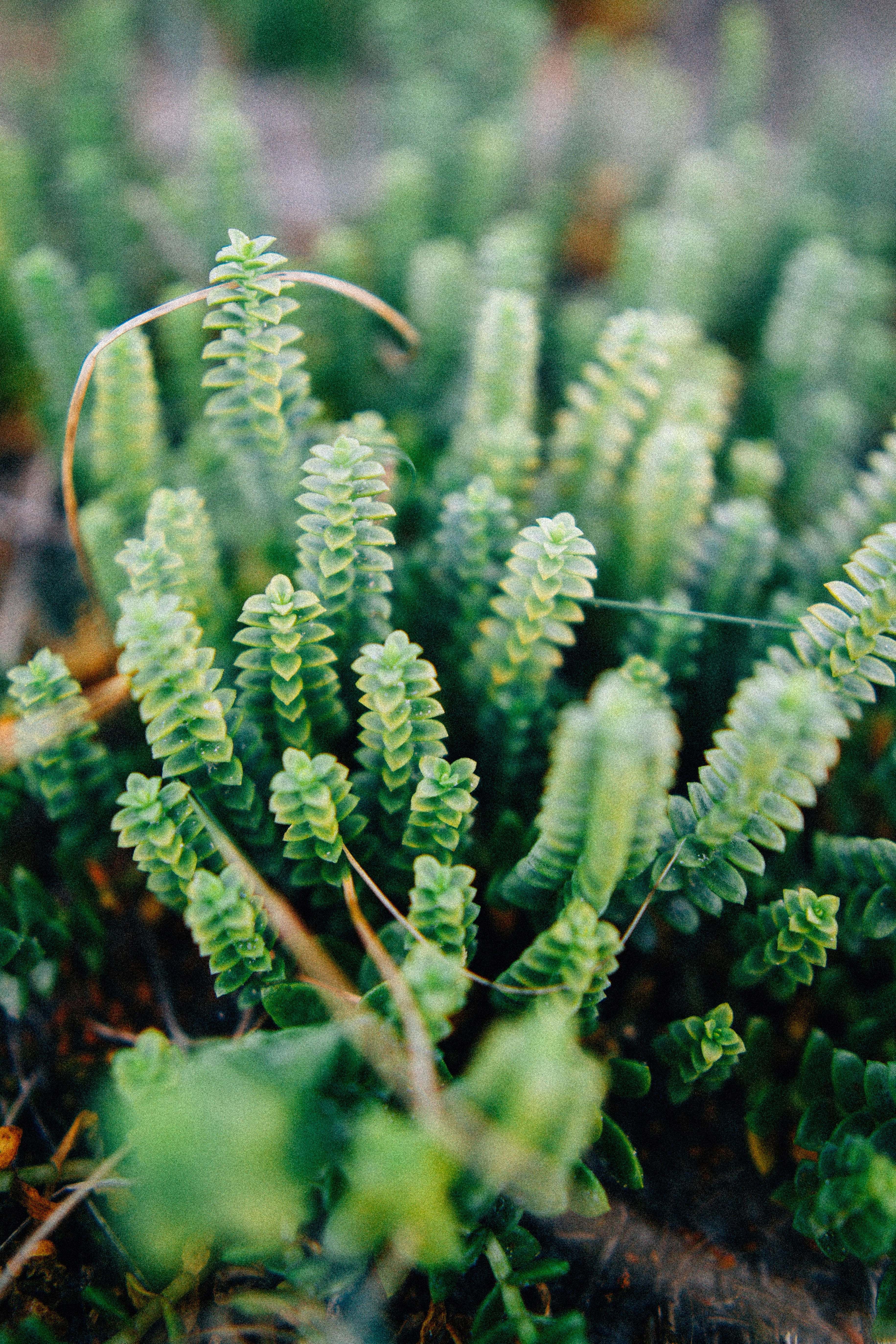 Photo by christianlue