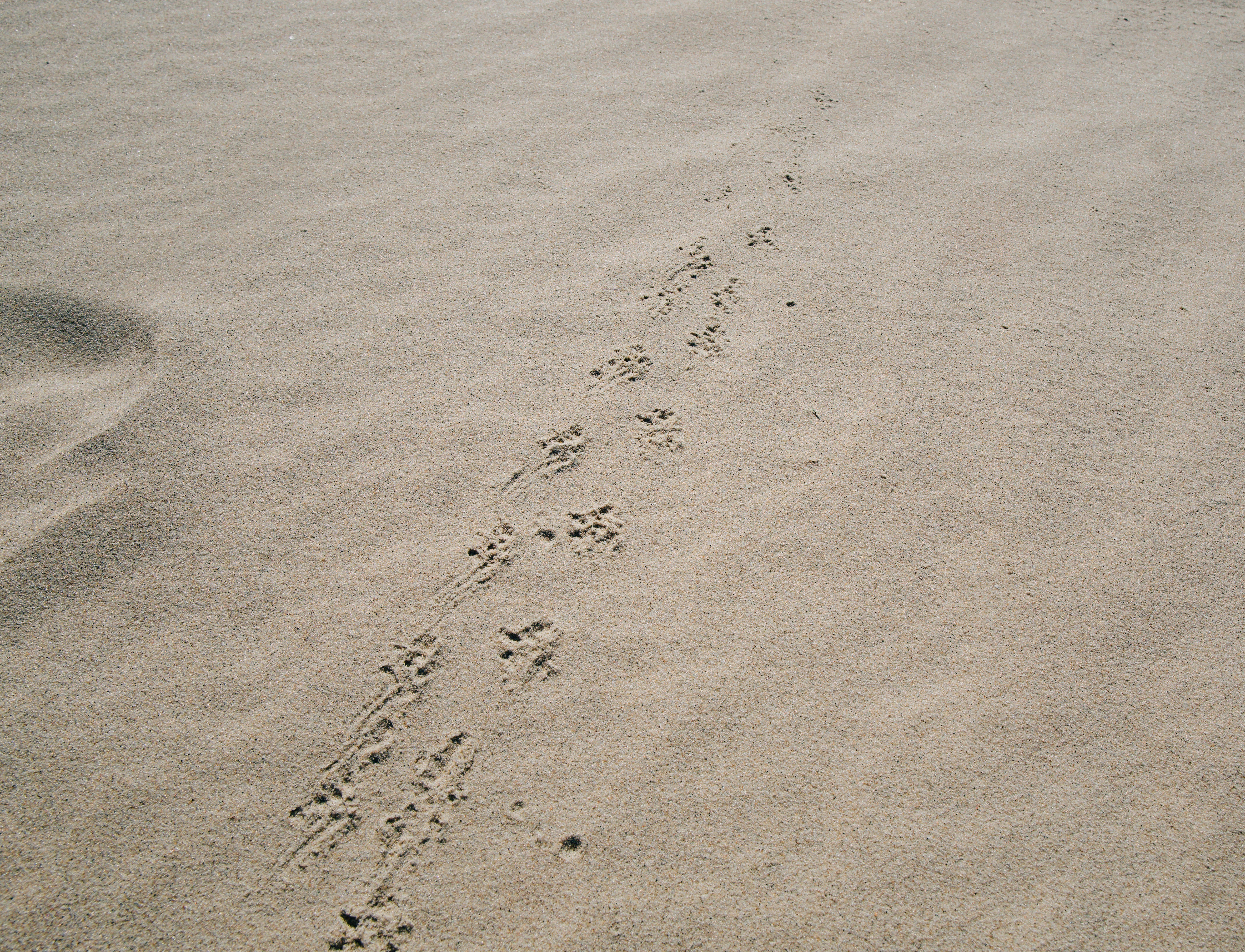 Photo by christianlue