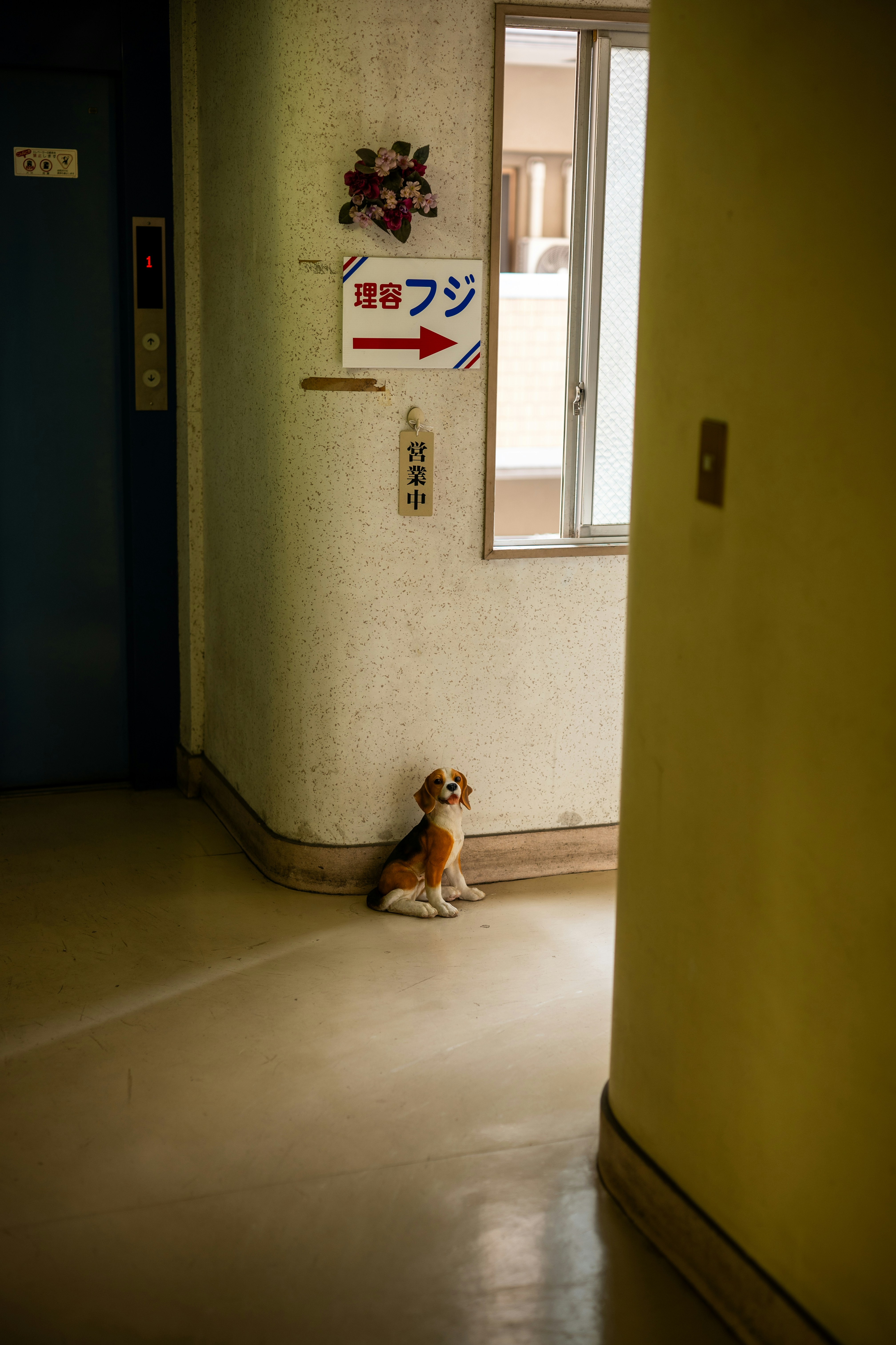 A small dog sits patiently in a hallway.