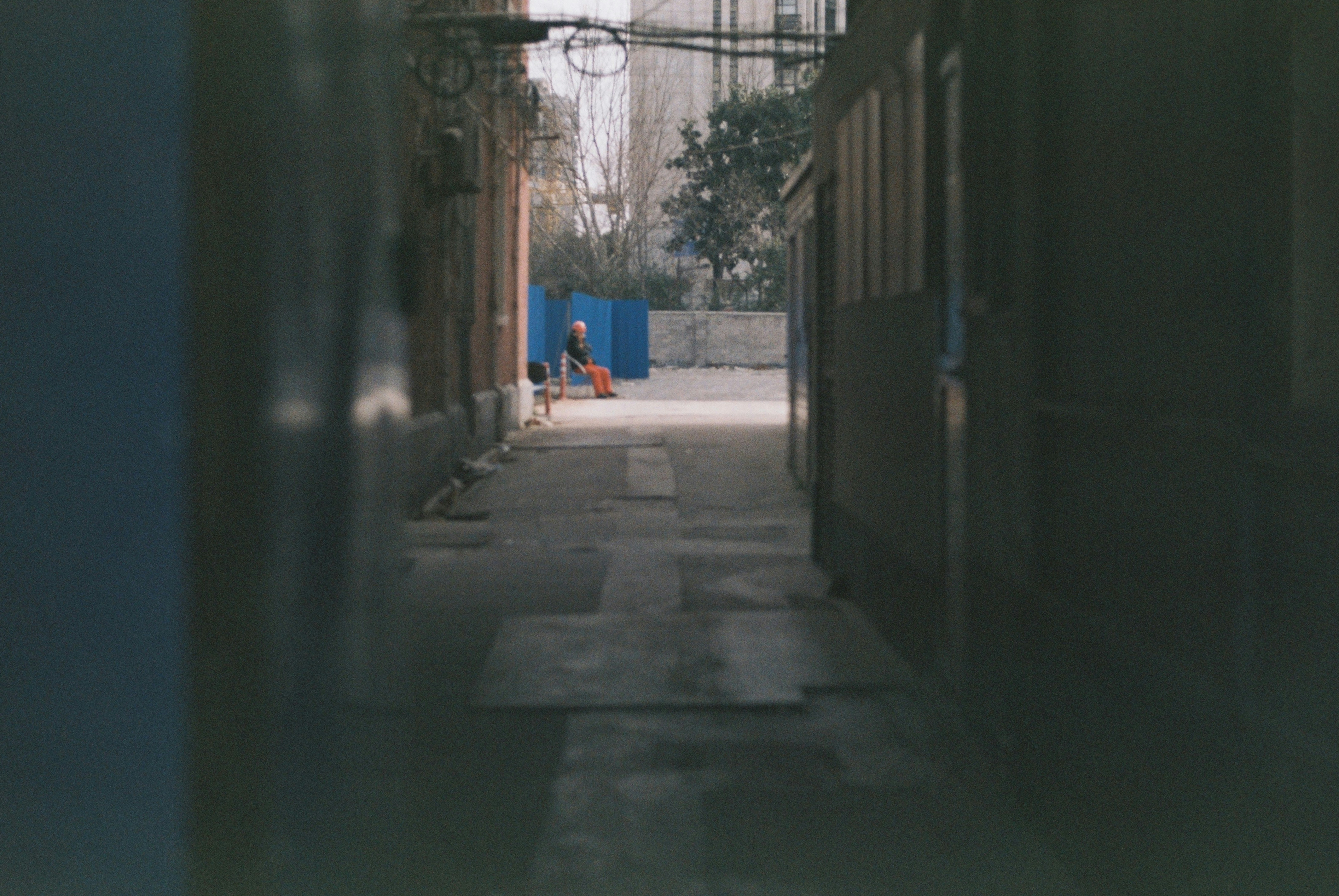 Photo by geraltyichen