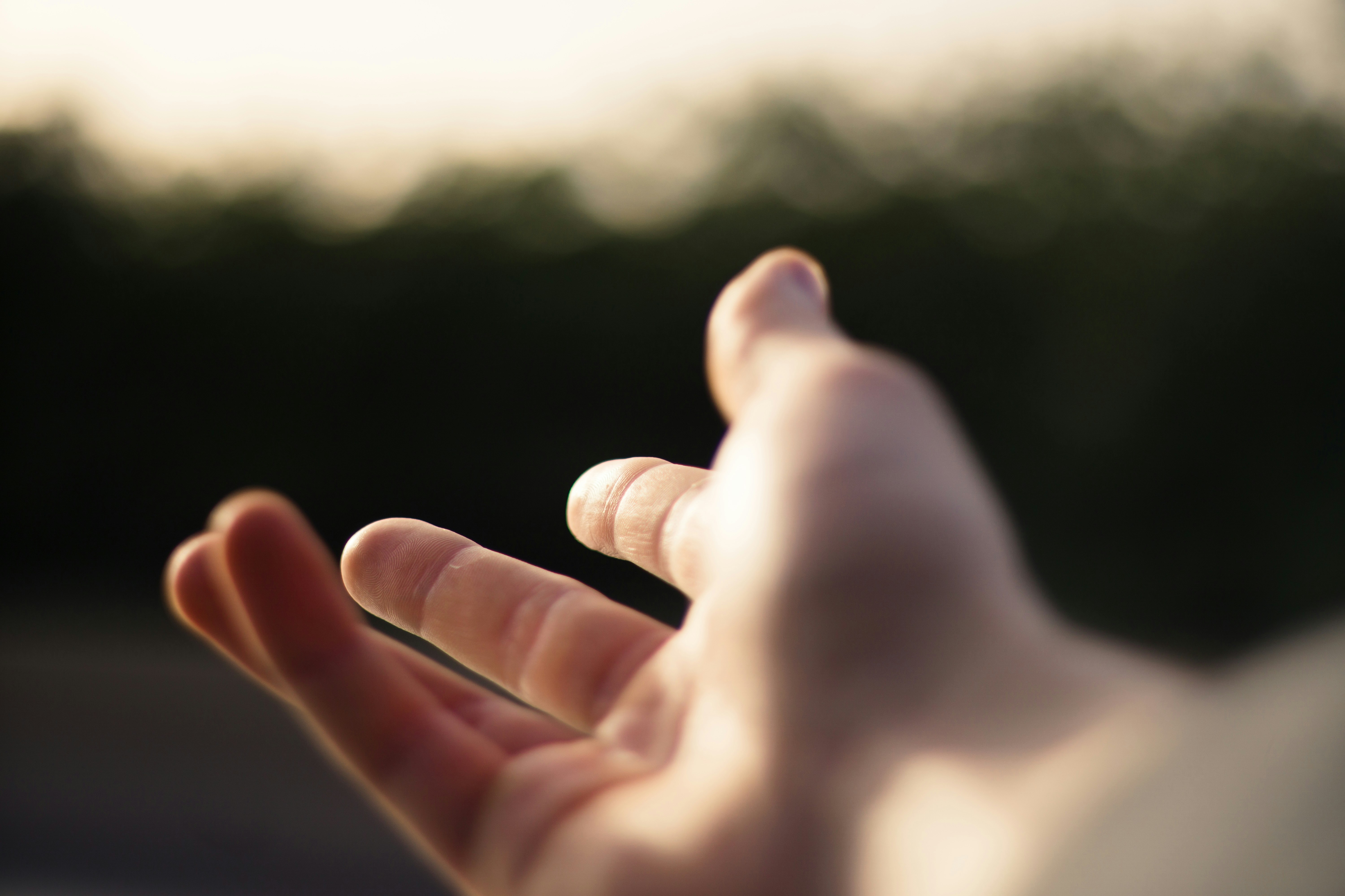 Photo by fethibenattallah