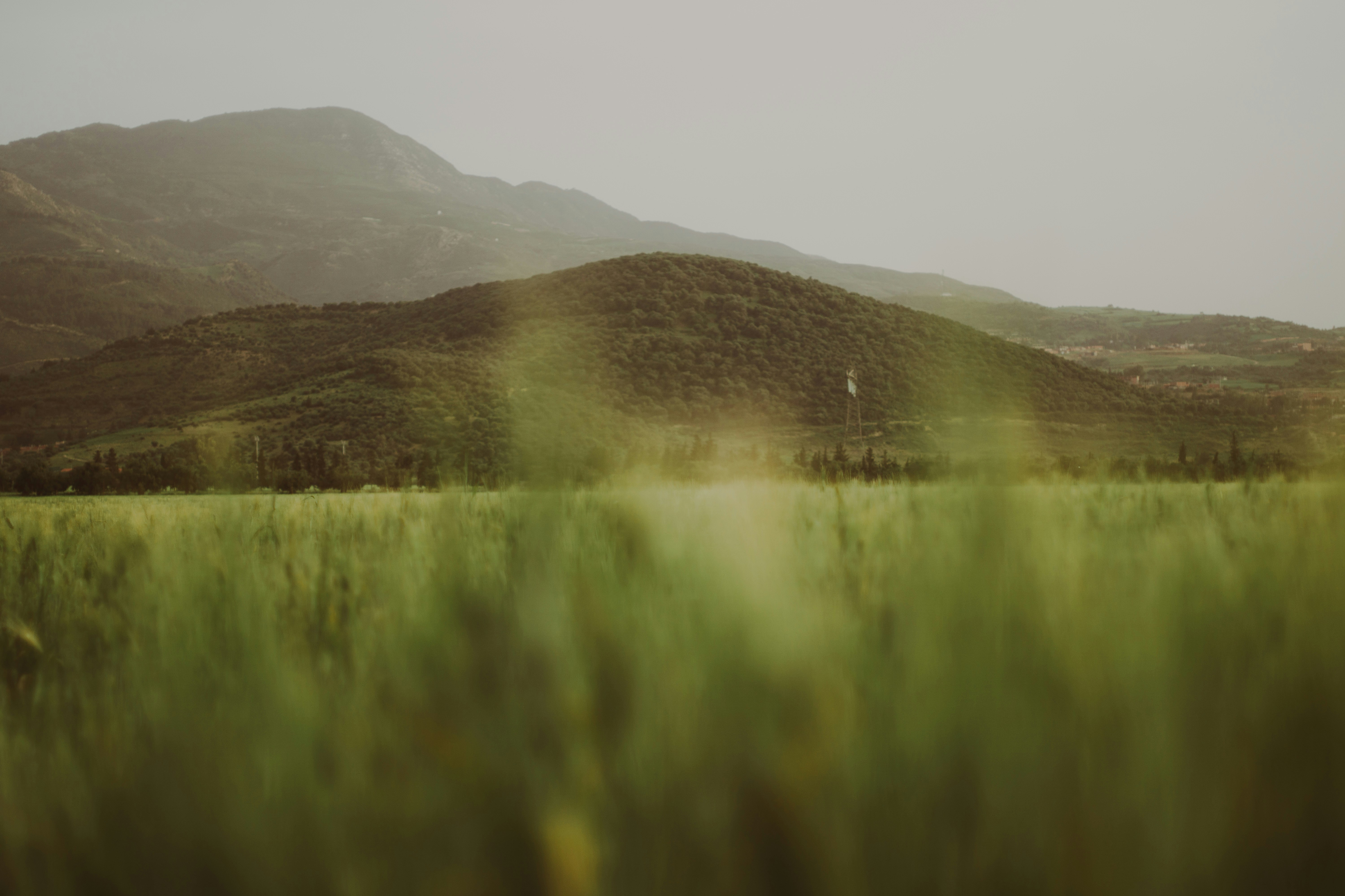 Photo by fethibenattallah