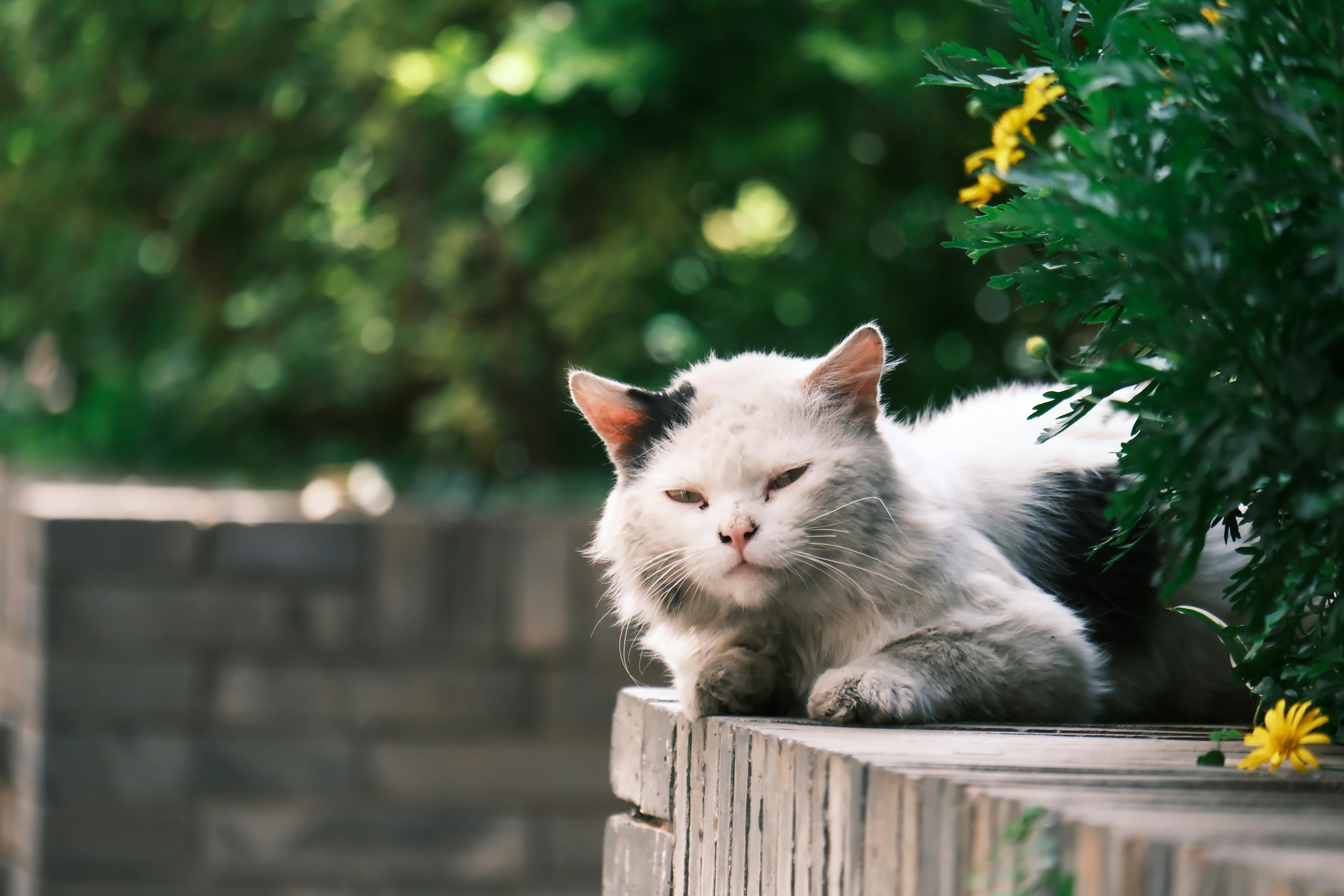 Photo by kumadatatsuya