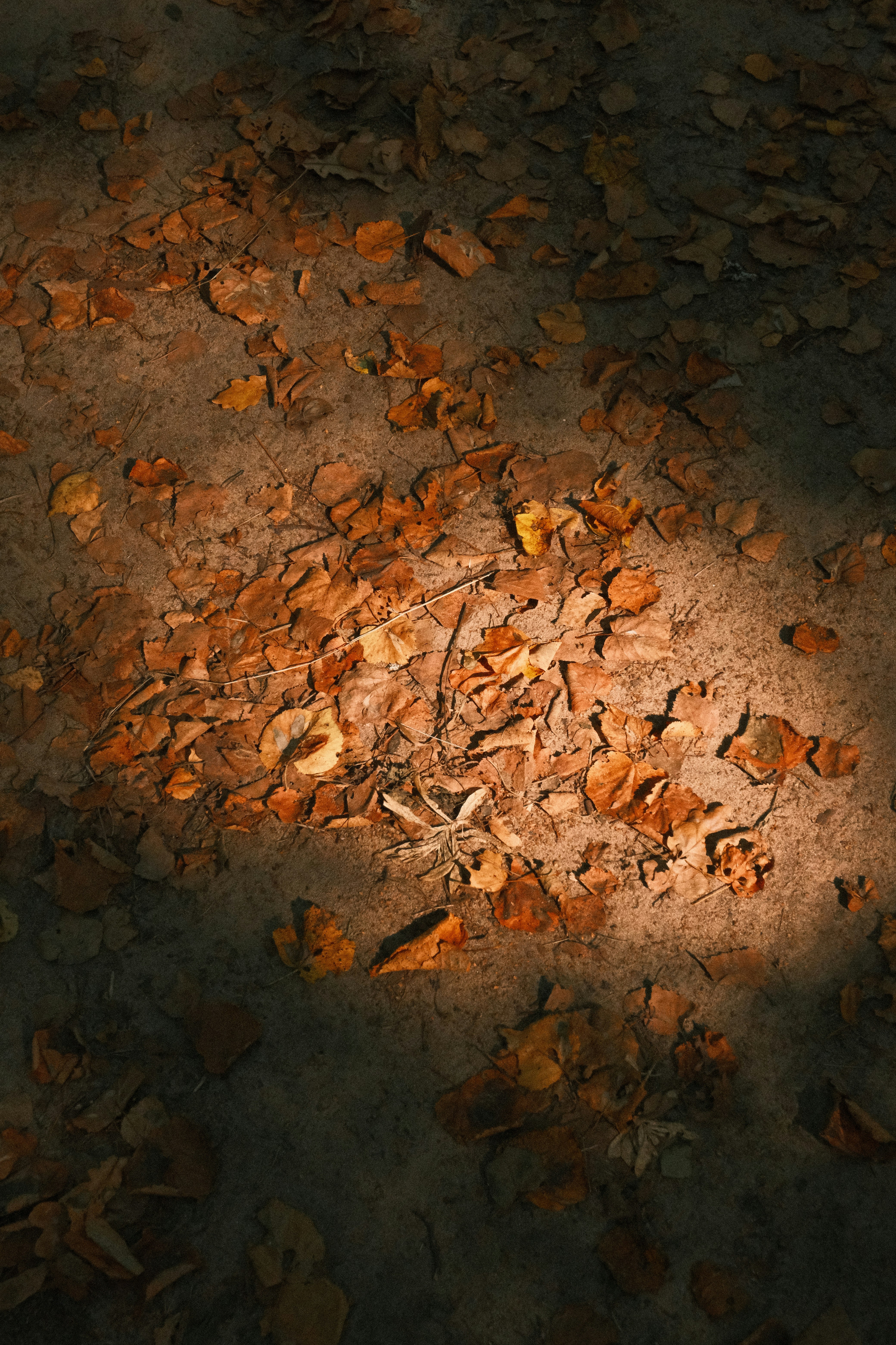 Photo by tatianarudneva