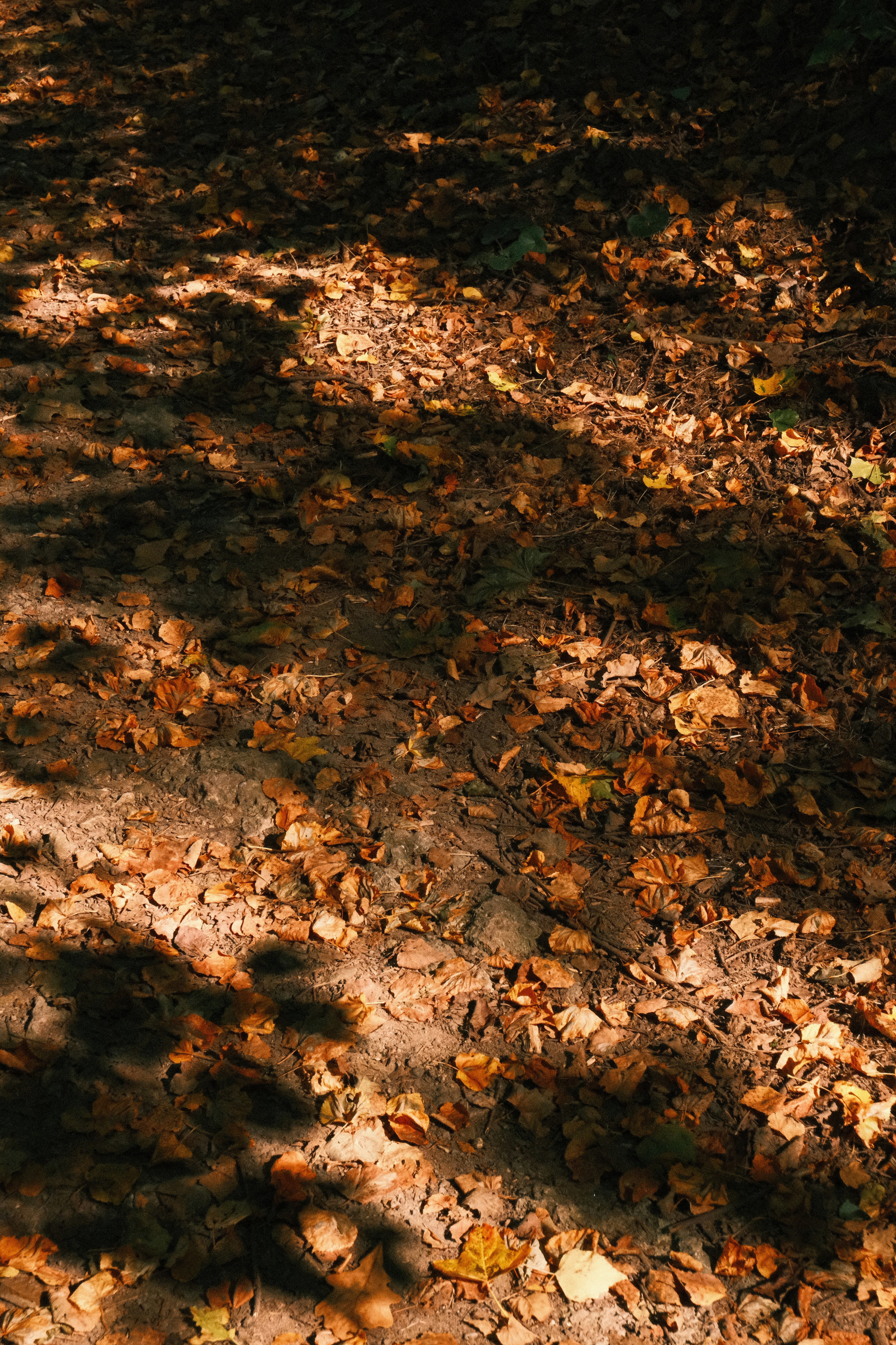 Photo by tatianarudneva