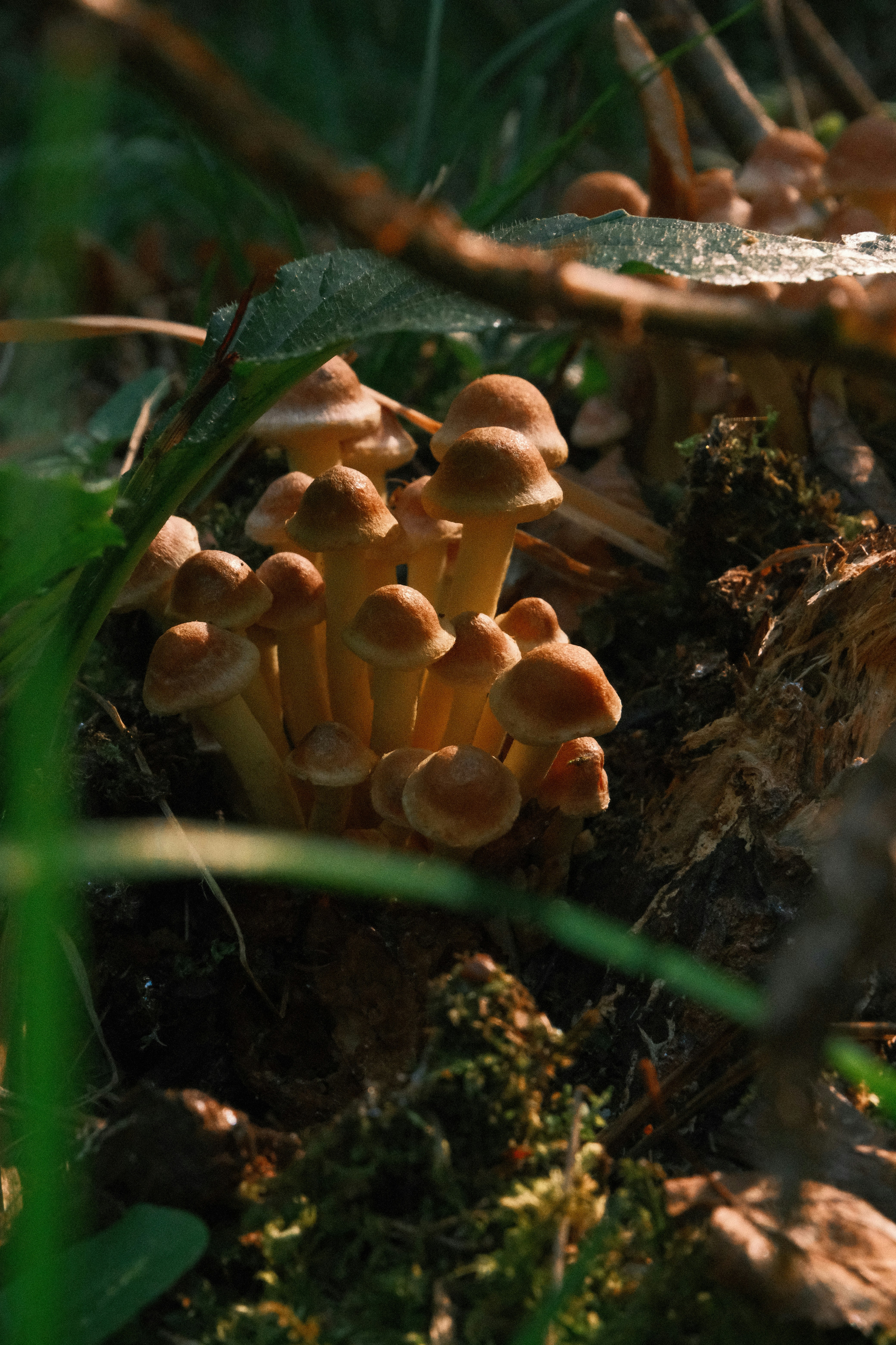 Photo by tatianarudneva