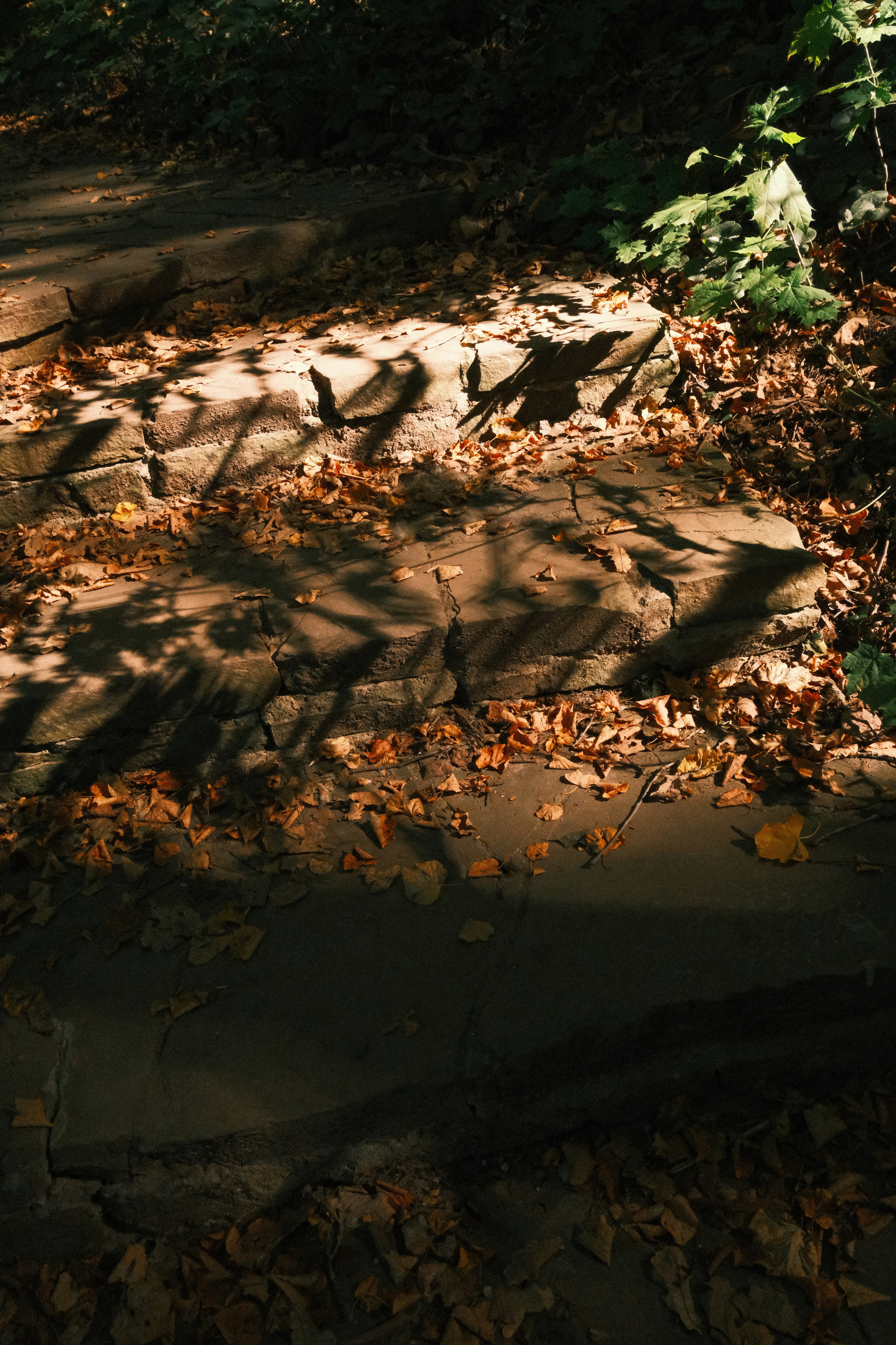 Photo by tatianarudneva