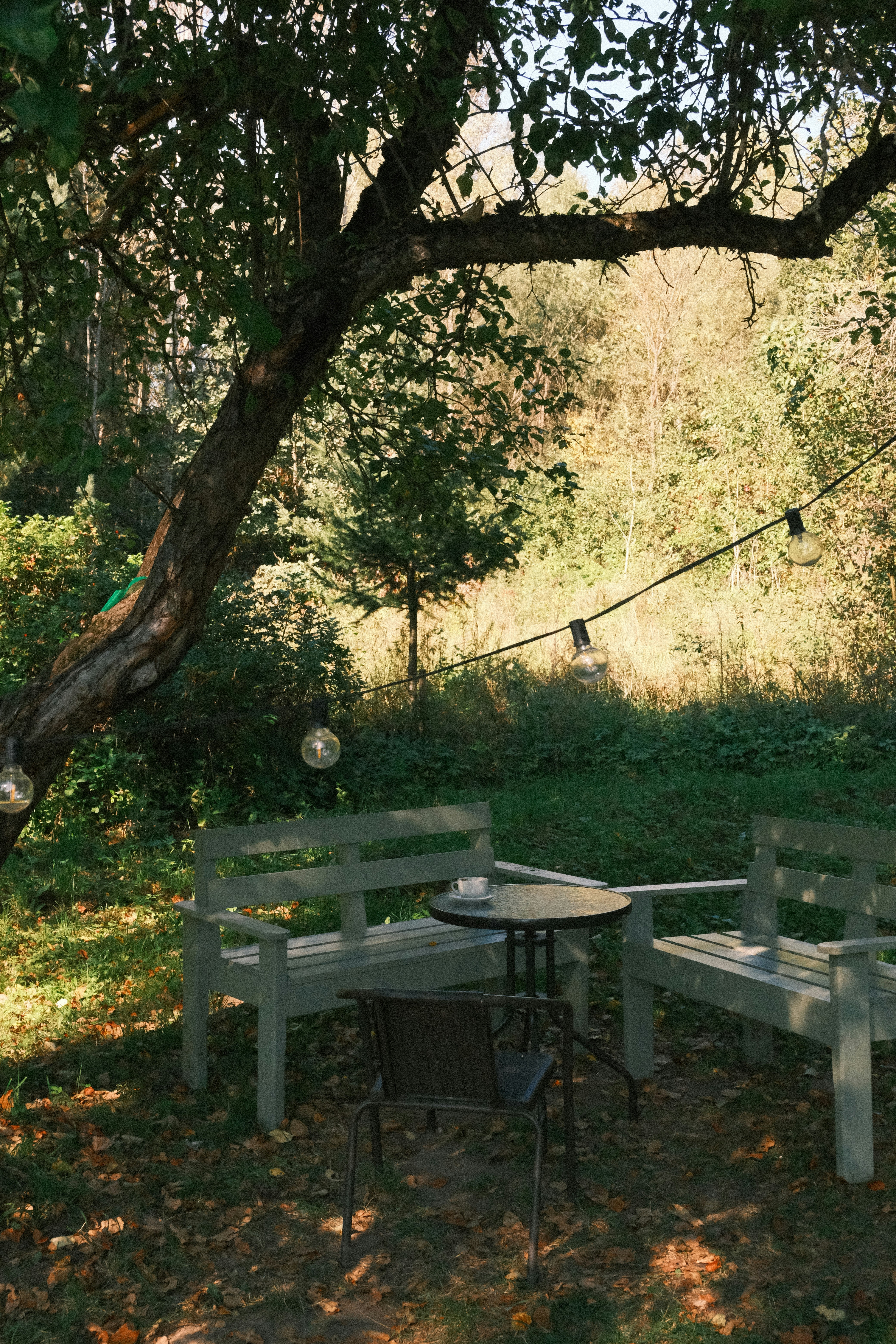 Photo by tatianarudneva