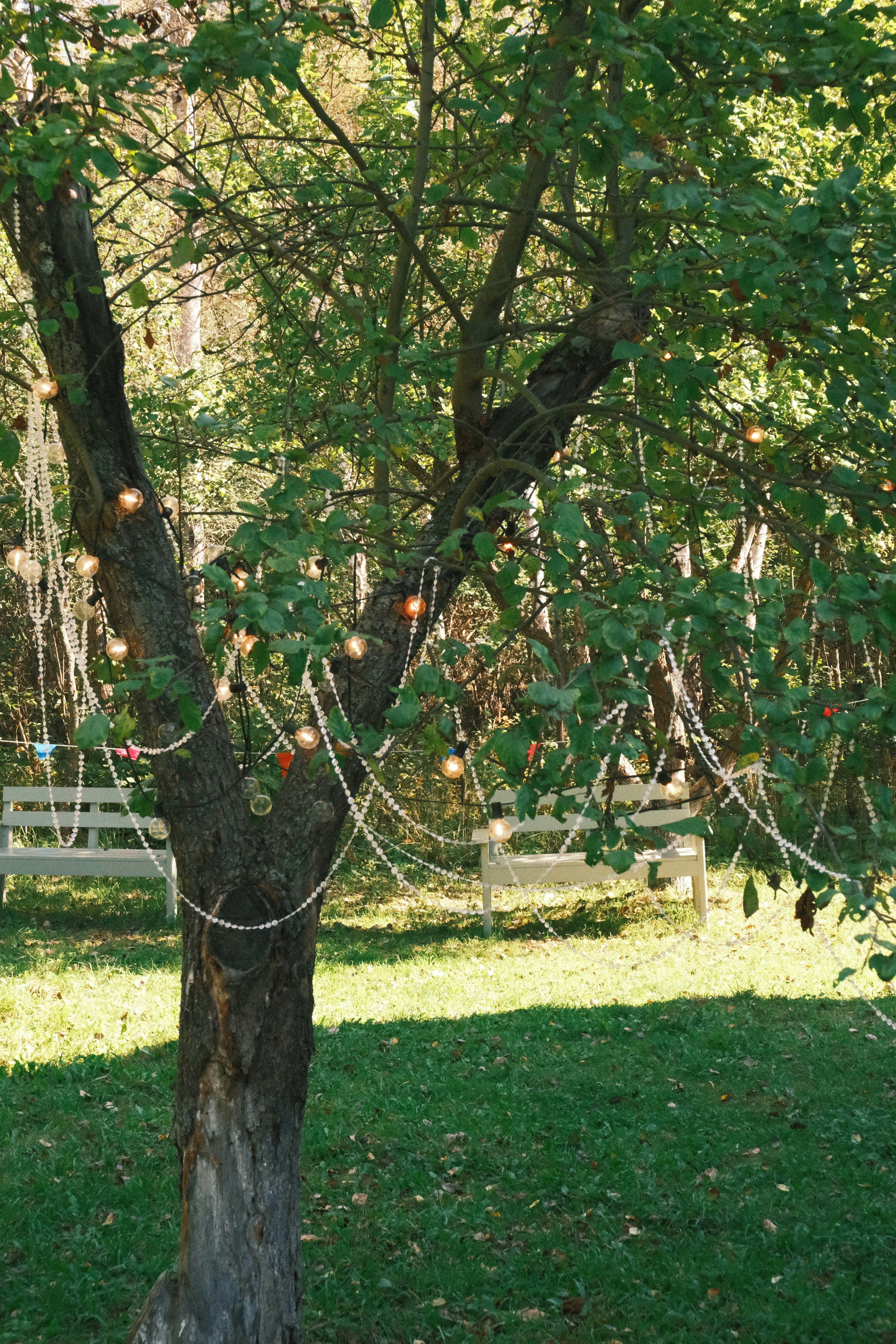 Photo by tatianarudneva