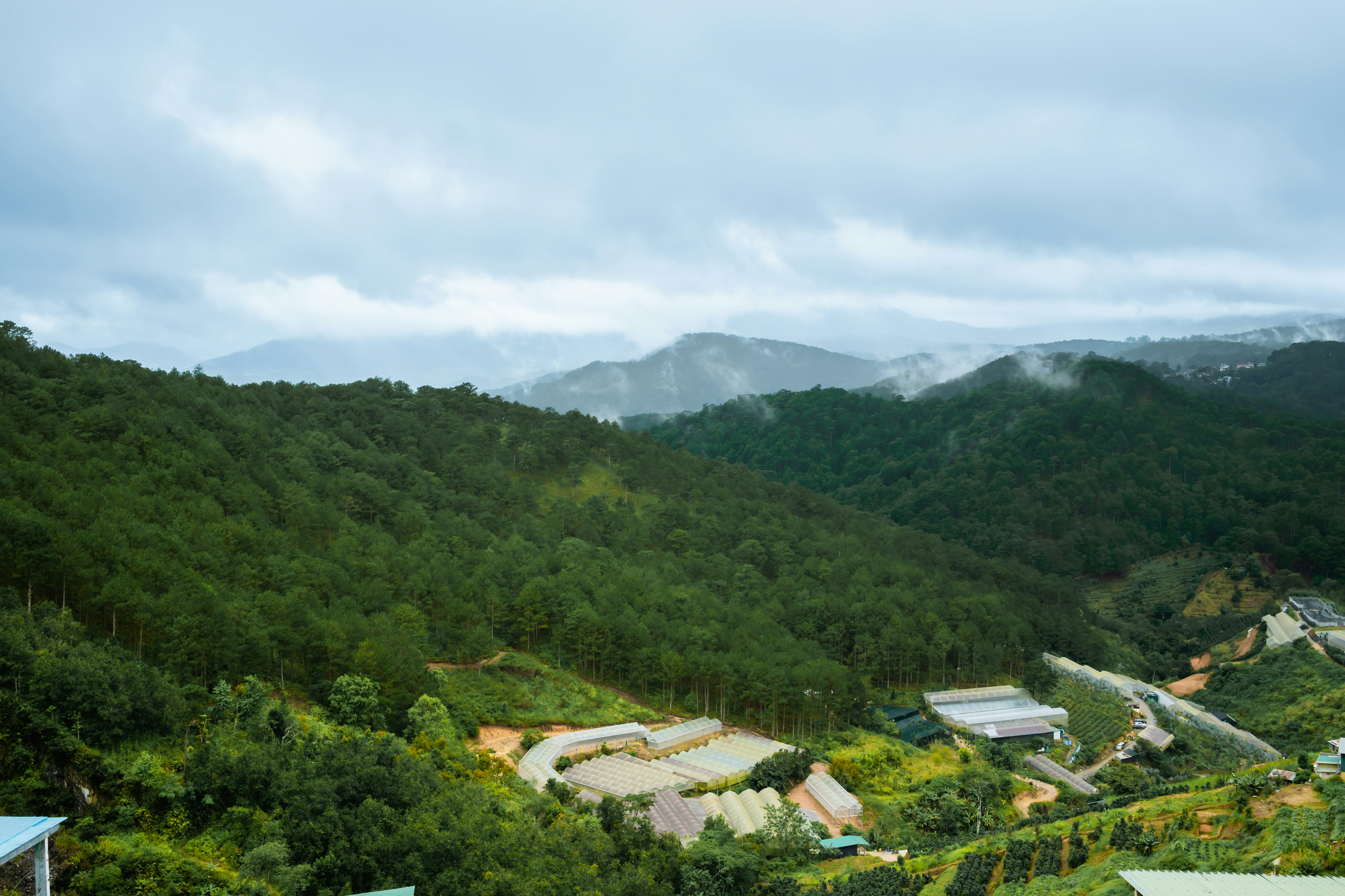 Photo by duythongngo