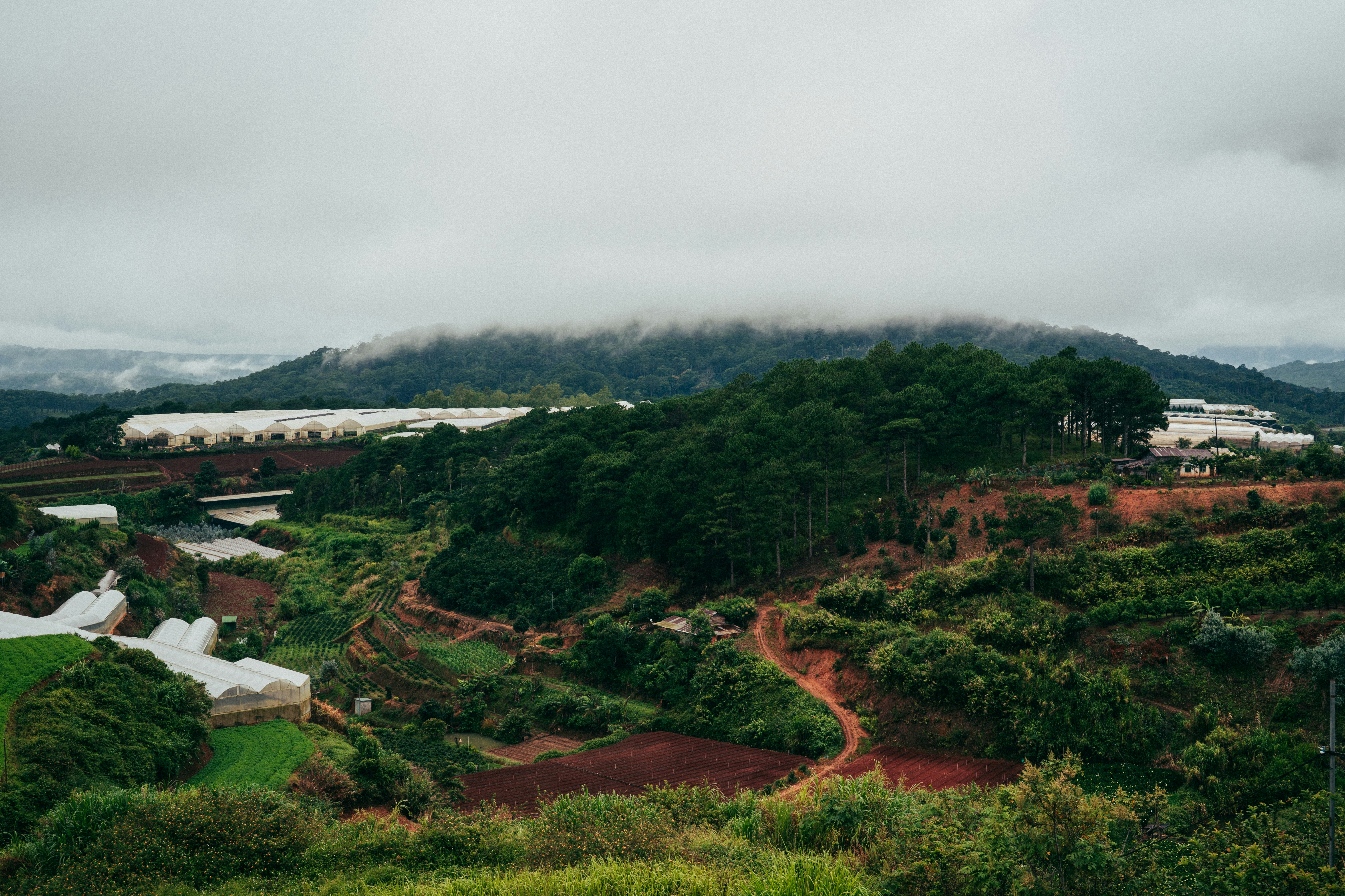 Photo by duythongngo