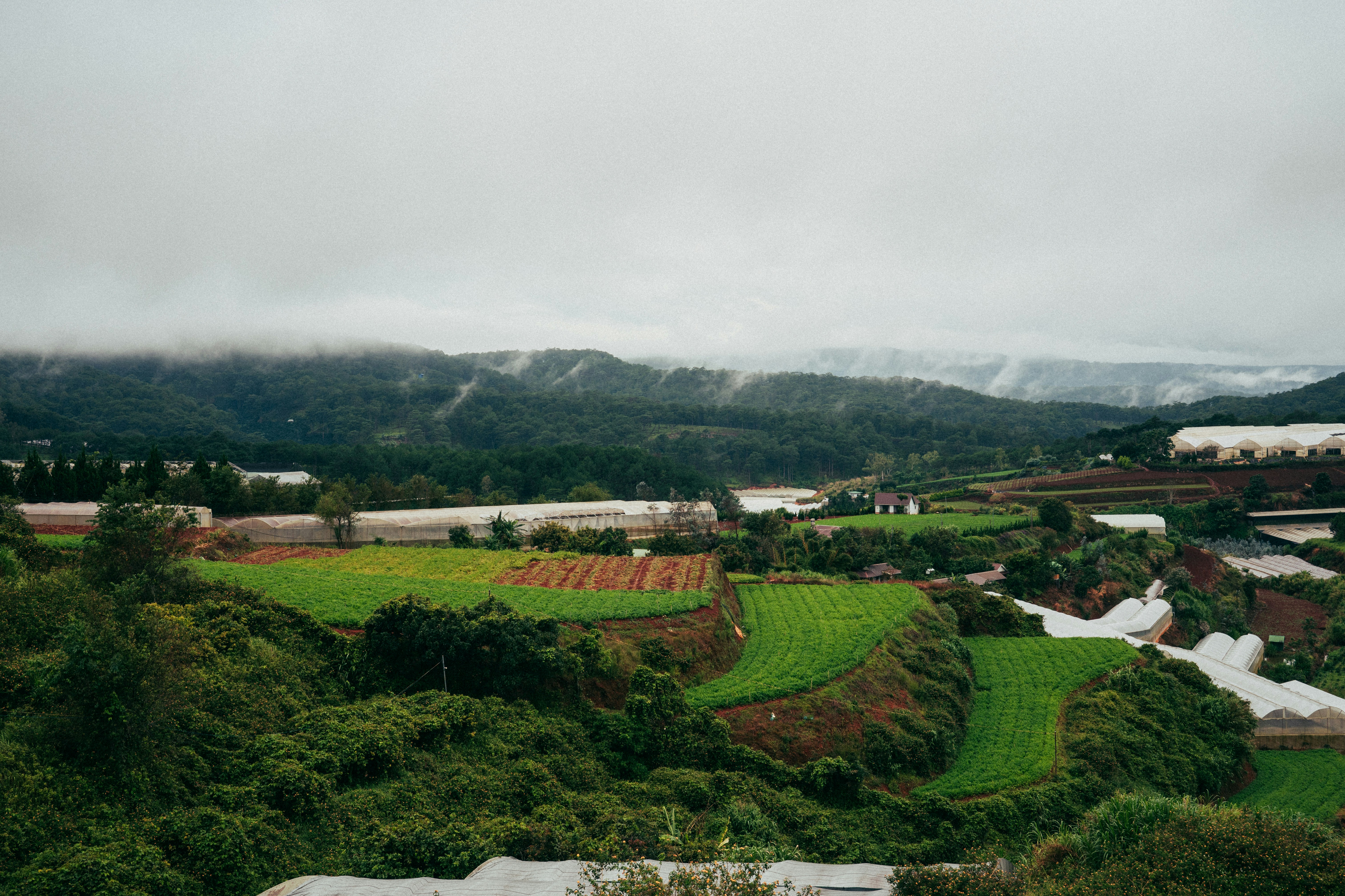 Photo by duythongngo