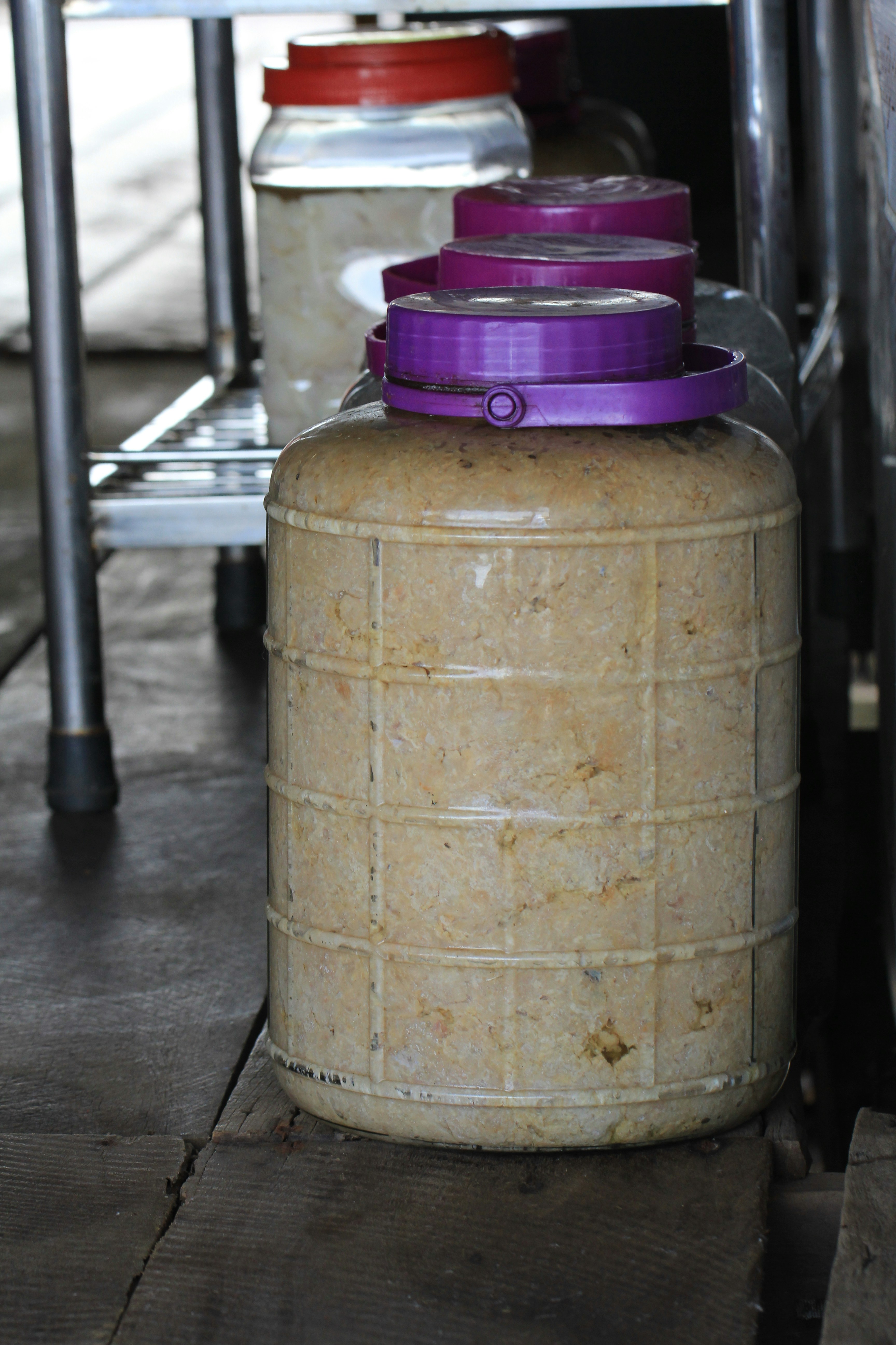 Large jar with purple lid containing fermented food.