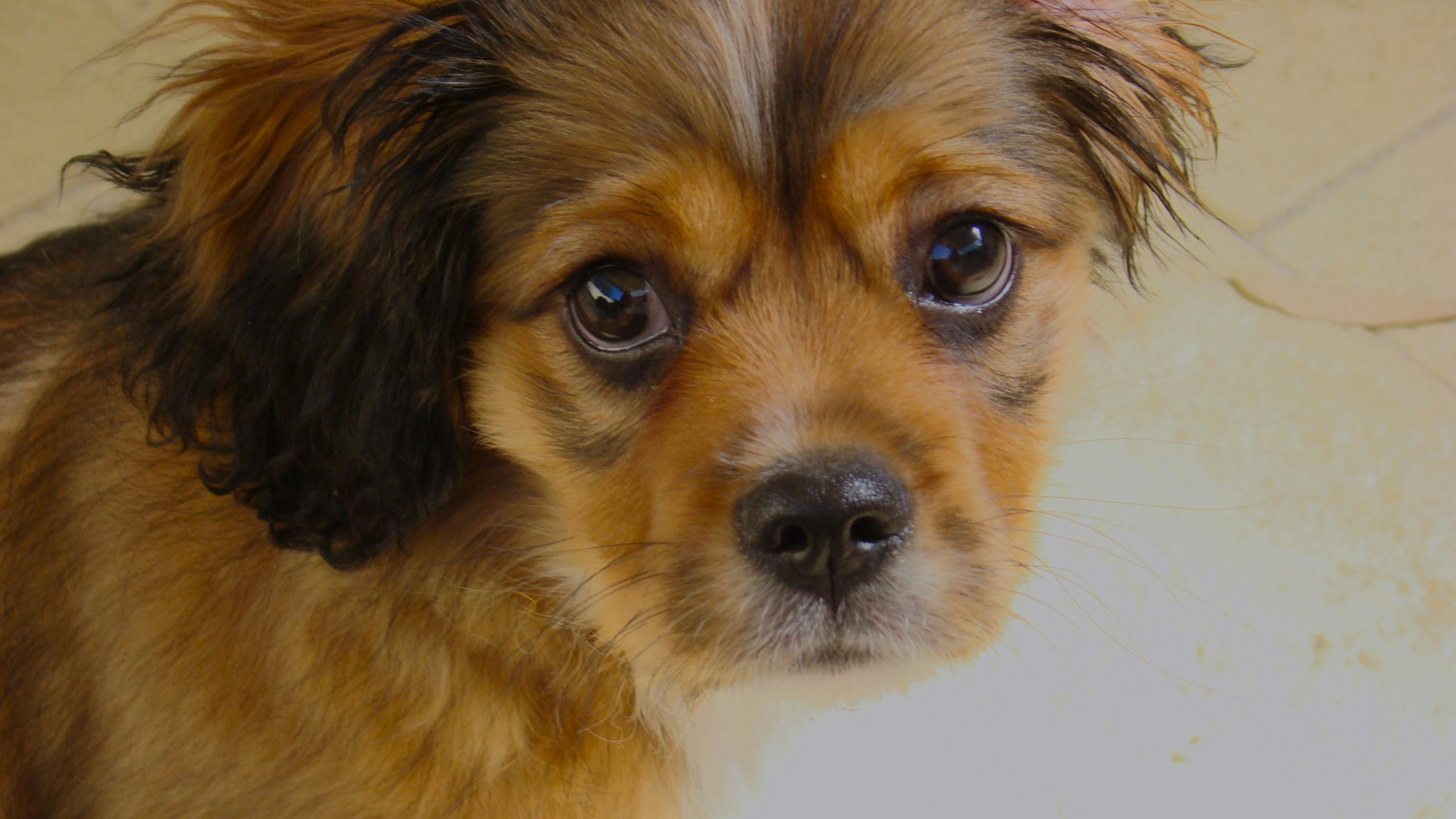 Photo by photoken123