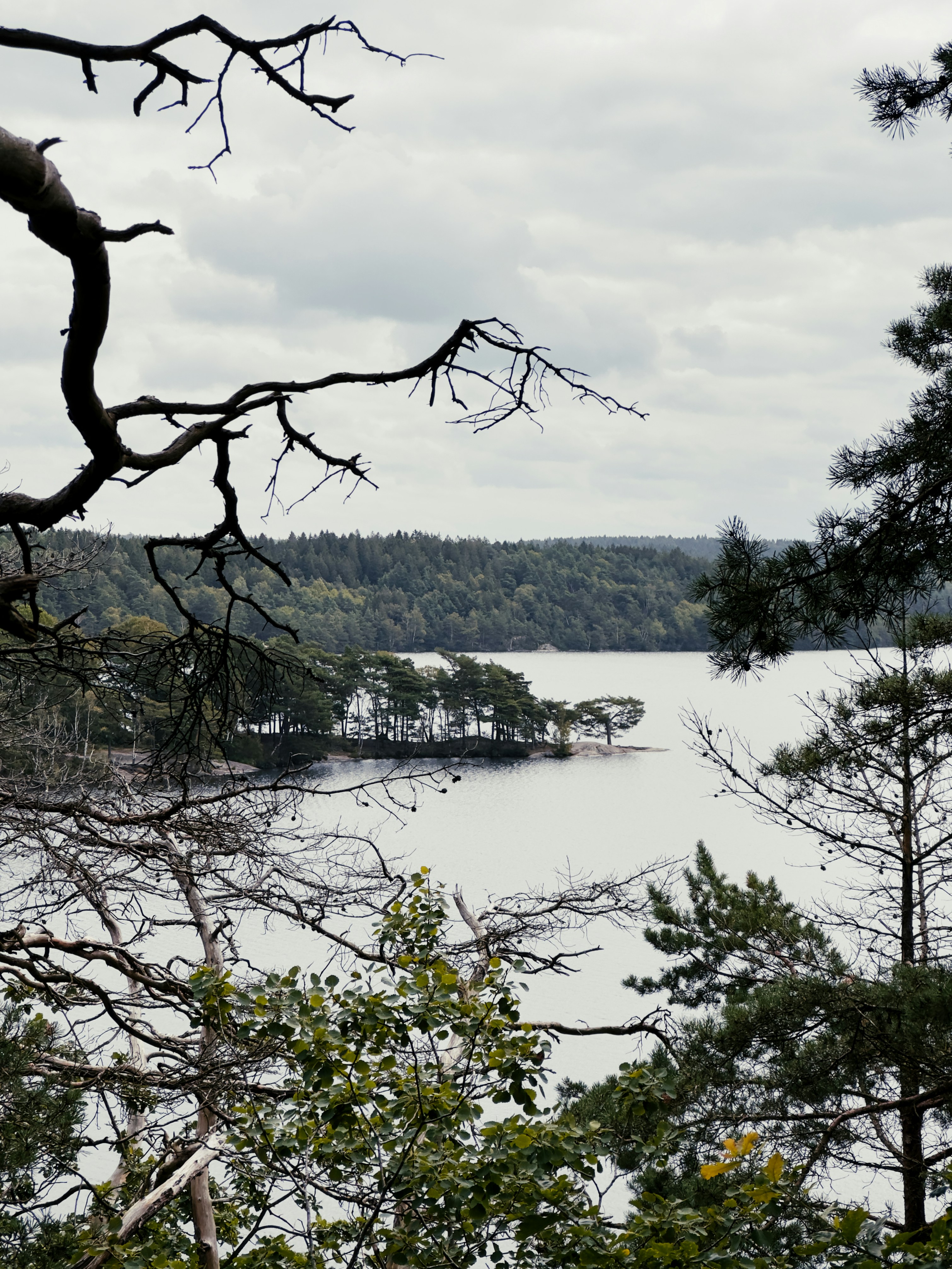 Photo by jacobasker04