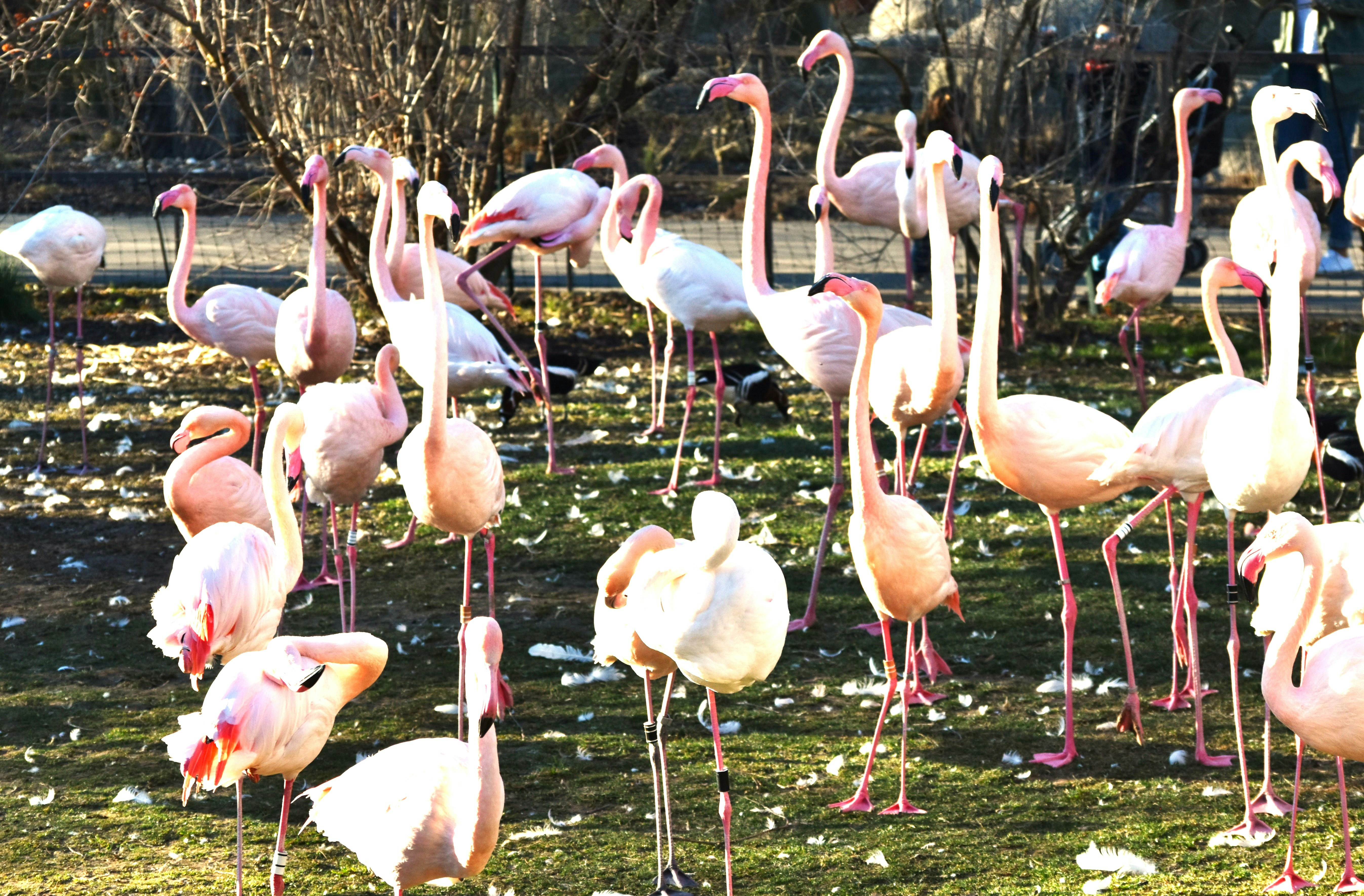 Photo by danielelarosa